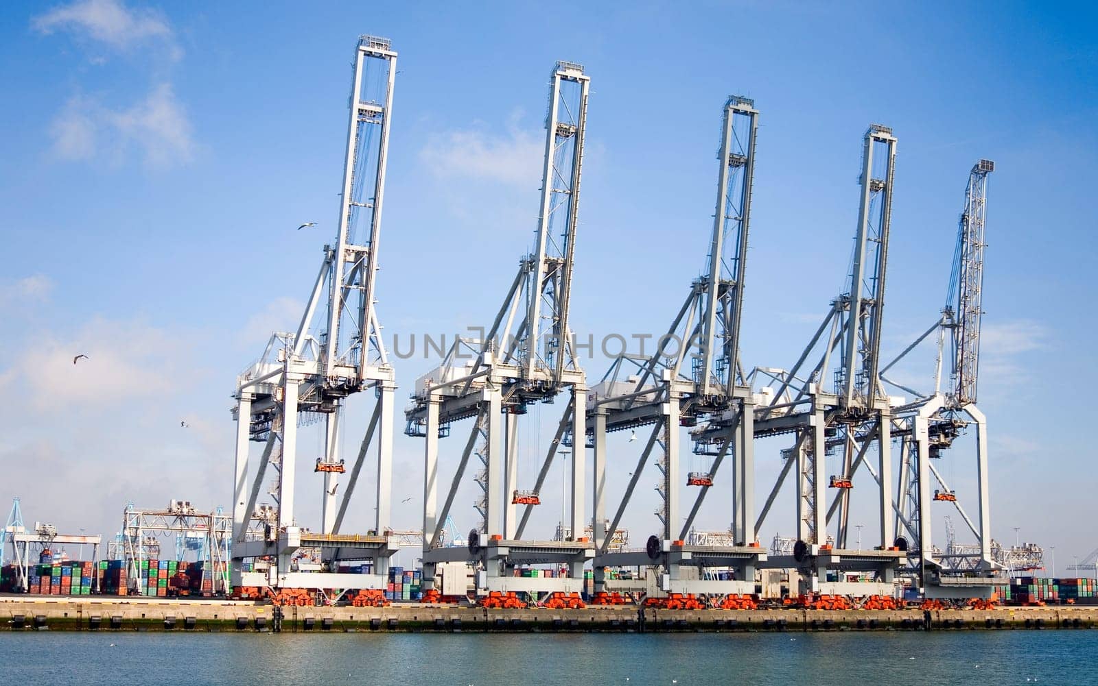 Harbor cranes at the Port of Rotterdam