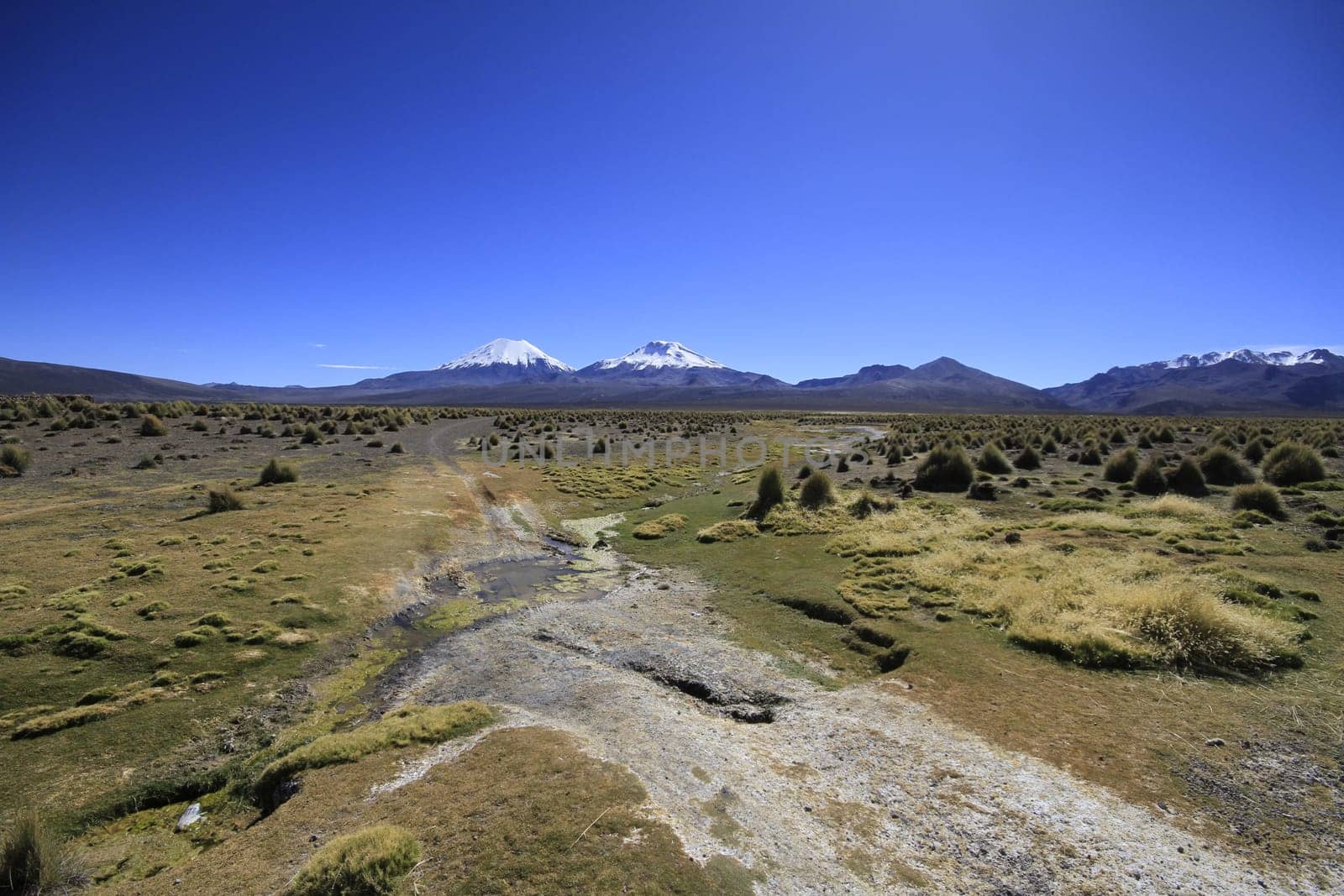 Parque Nacional Sajama