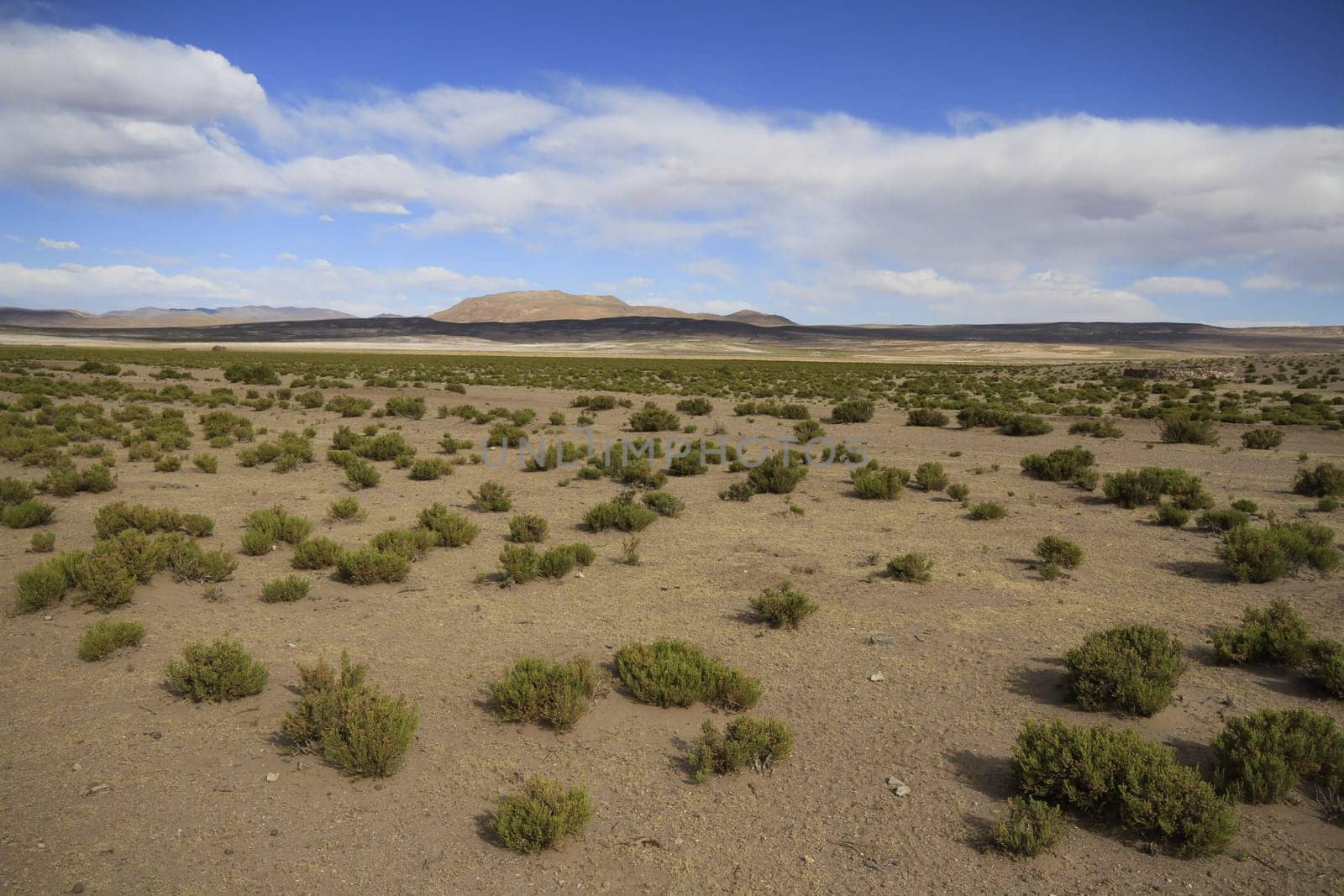 Eduardo Alveroa, Uyuni Bolivia