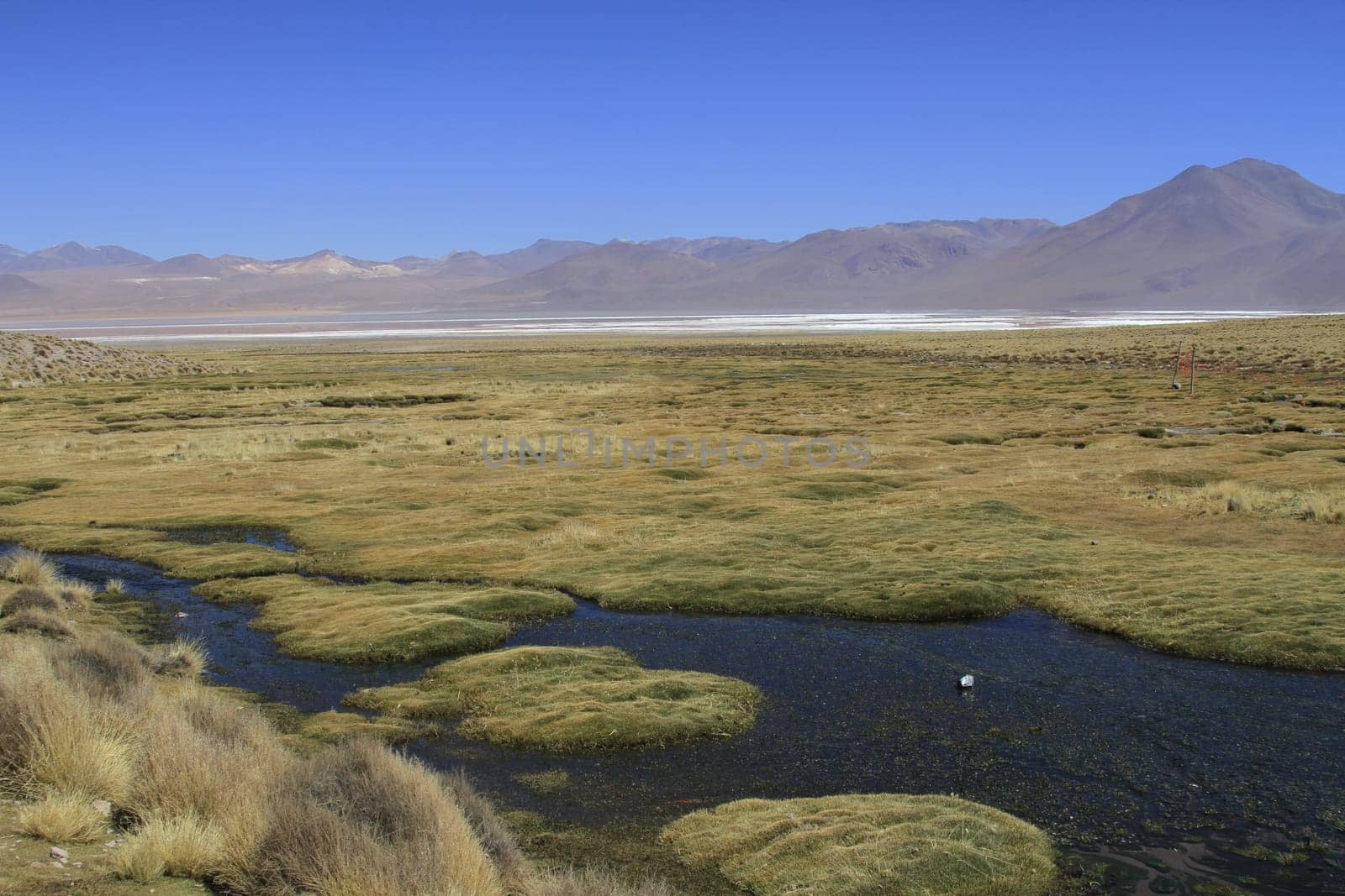 Eduardo Alveroa, Uyuni Bolivia