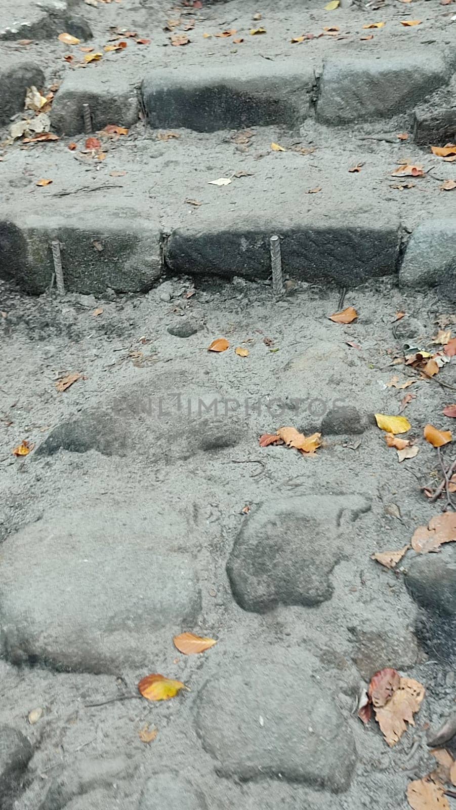 Stone steps autumn gray nature autumn texture background . High quality photo