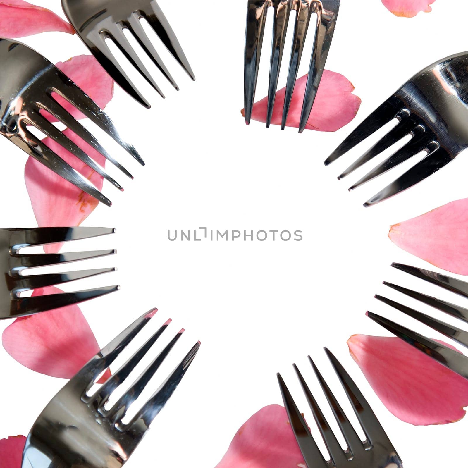 forks in a circle with rose petals for a concept on romantic dining on white background with copy space in the middle