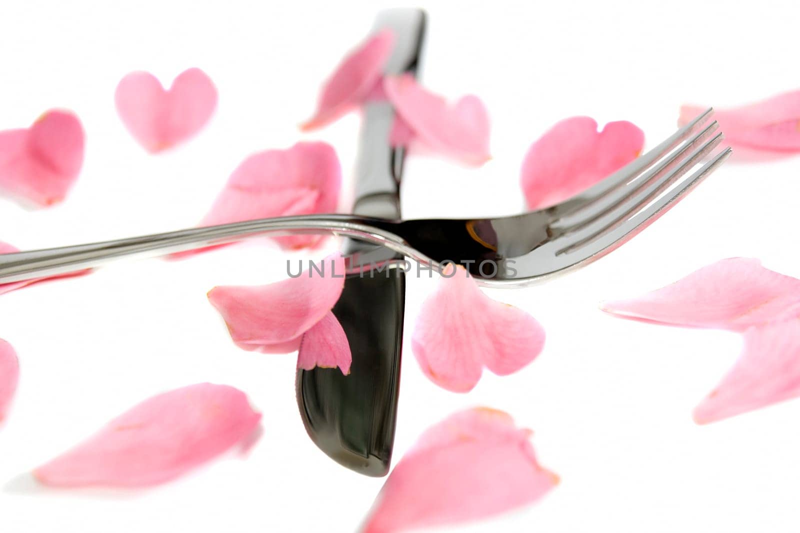 fork and knife isolated with rose petals for concept on romantic dining