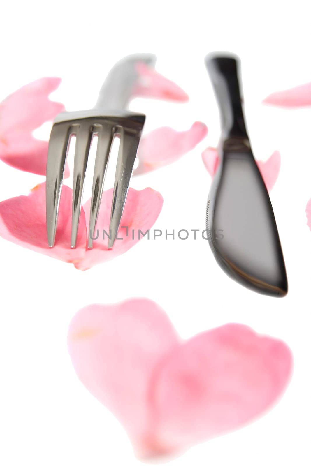 fork and knife isolated with rose petals for concept on romantic dining