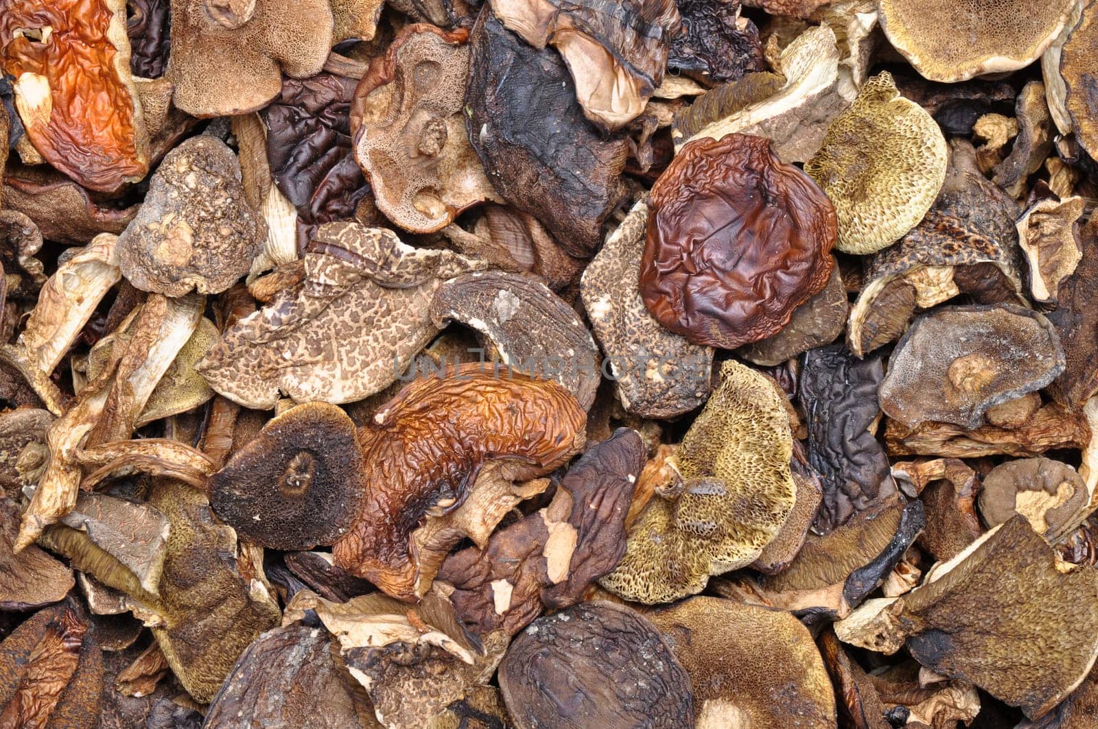 Dried mushrooms as a background