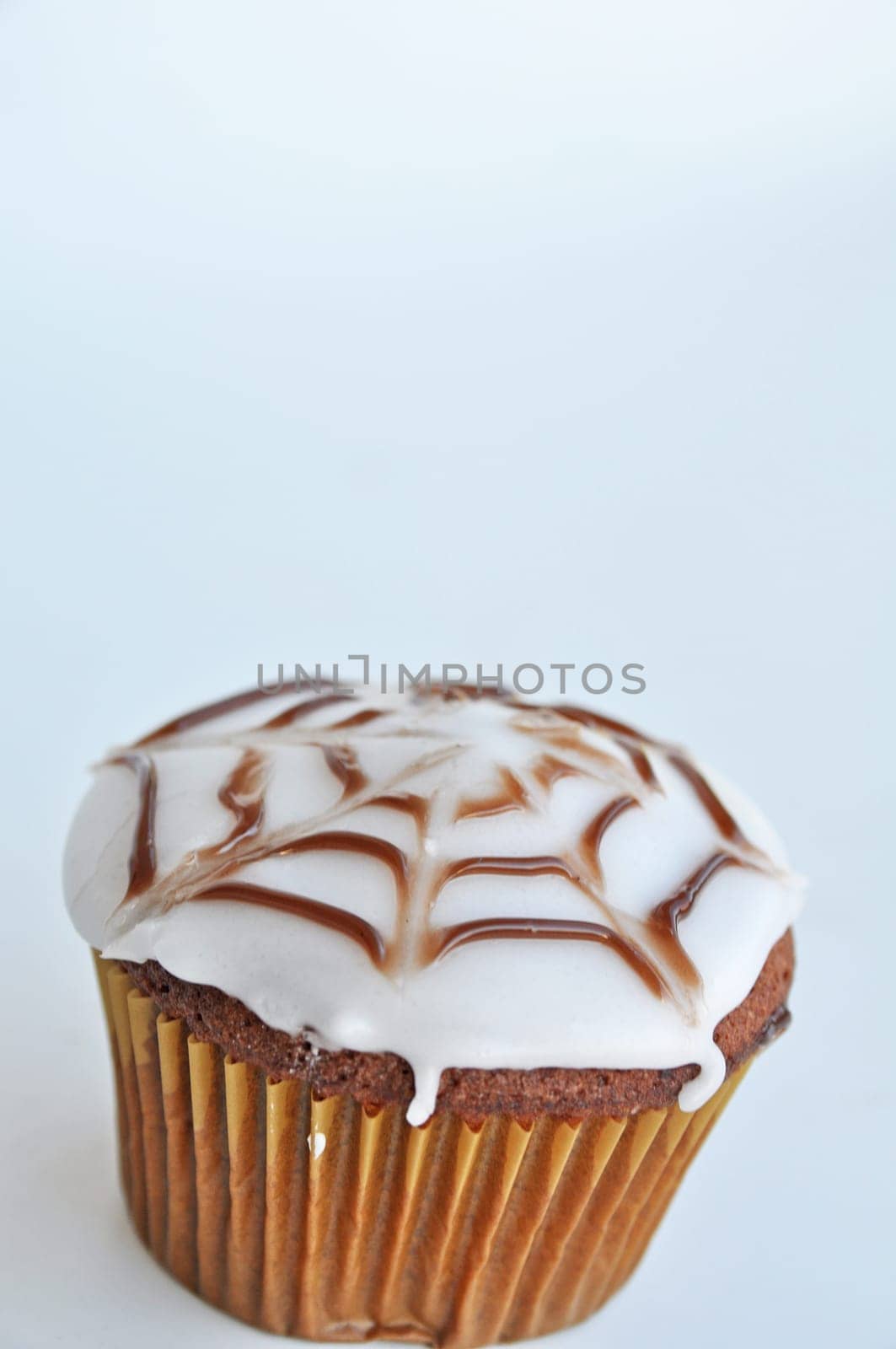 Spider Cupcakes