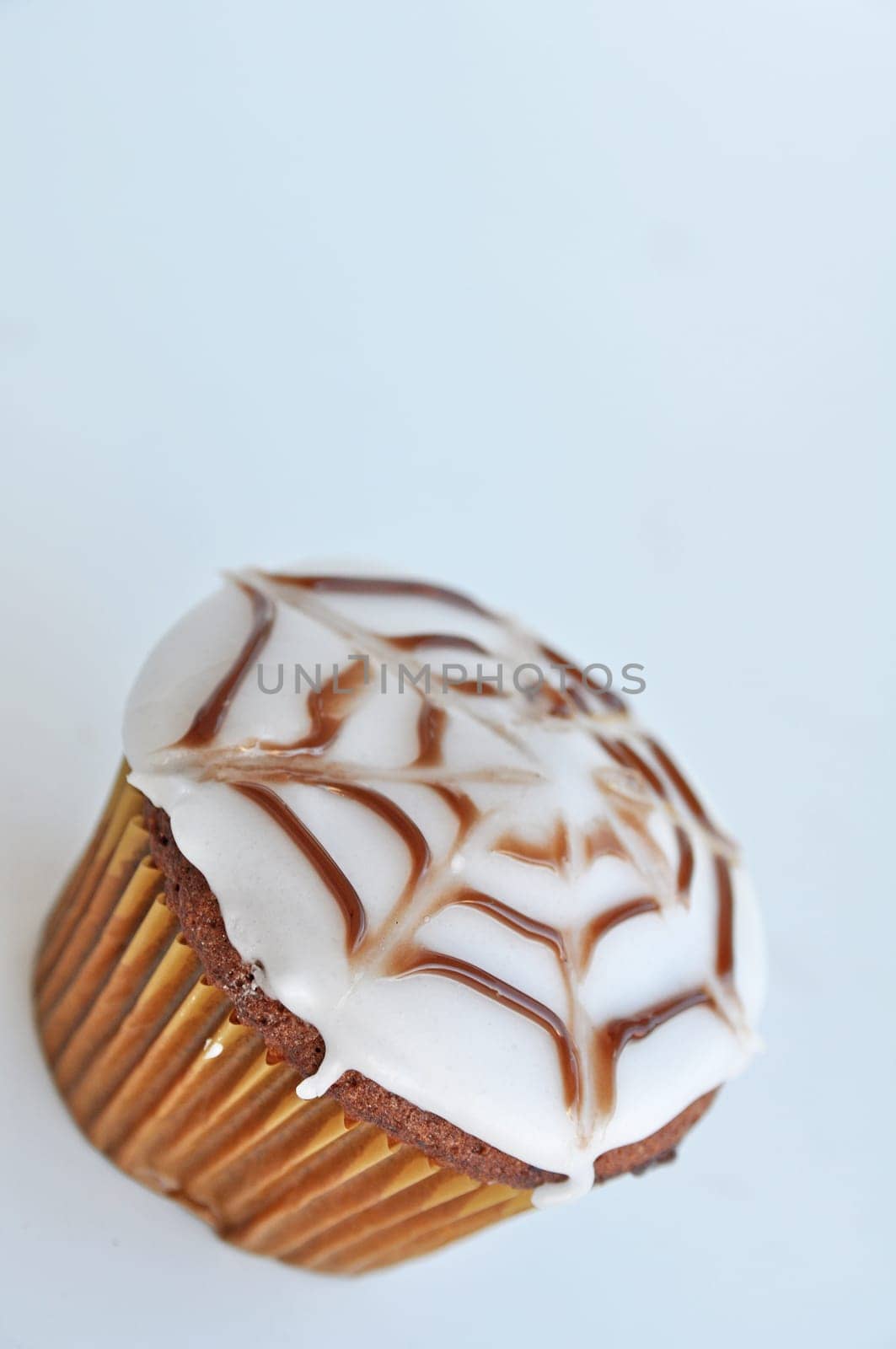 Spider Cupcakes