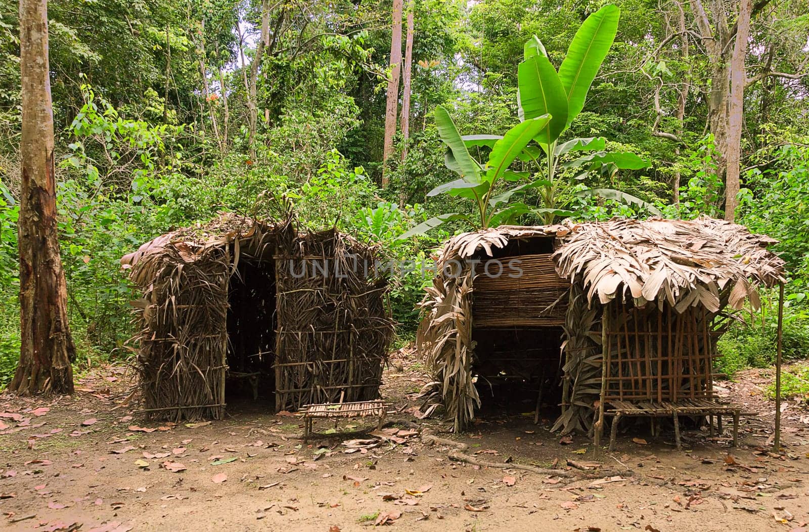 Pygmy architecture