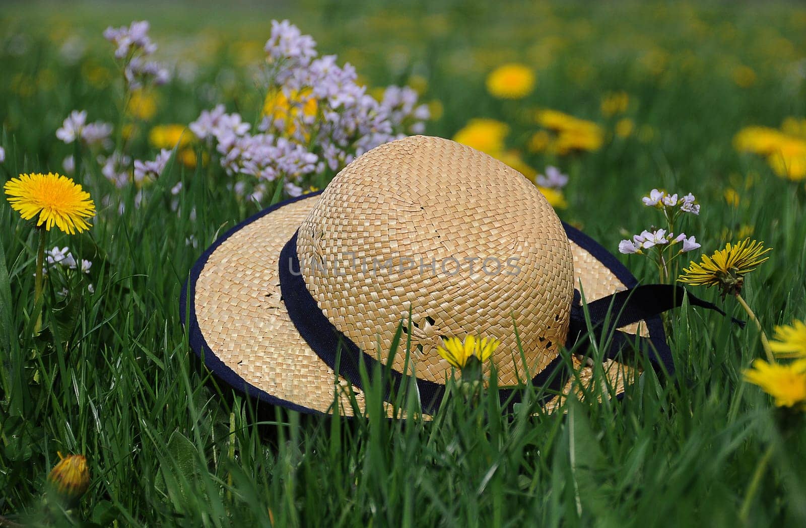 Straw hat