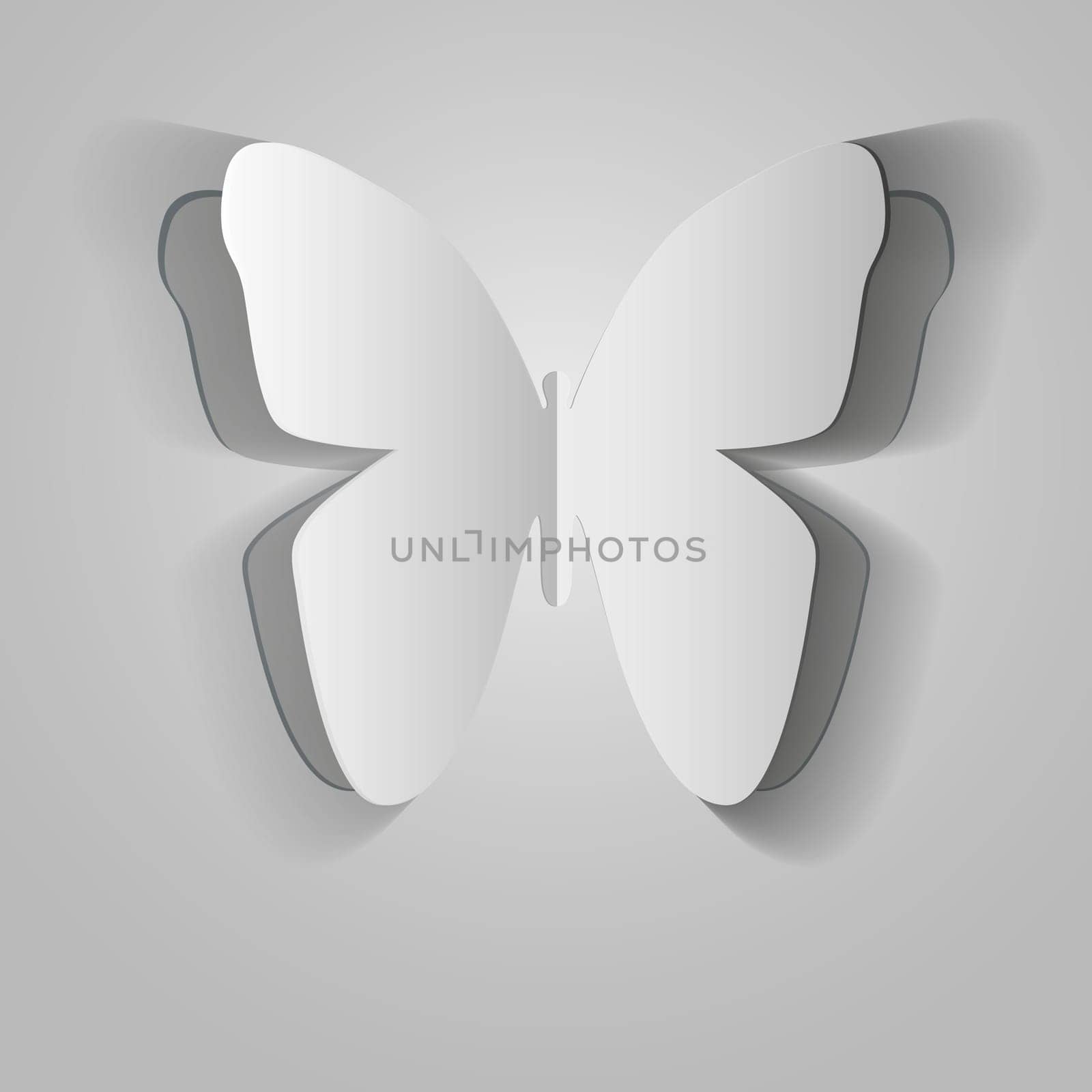 Paper Butterfly