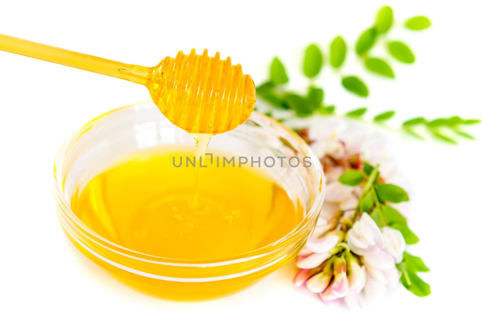 Pouring honey and acacia flower on white background
