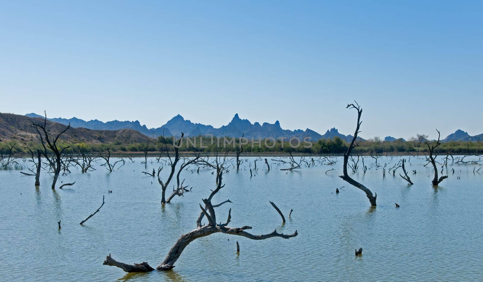 Lake Havasu