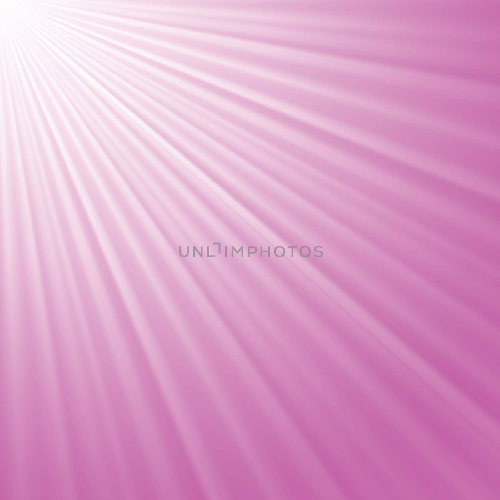 colorful illustration with pink raysl background  for your design