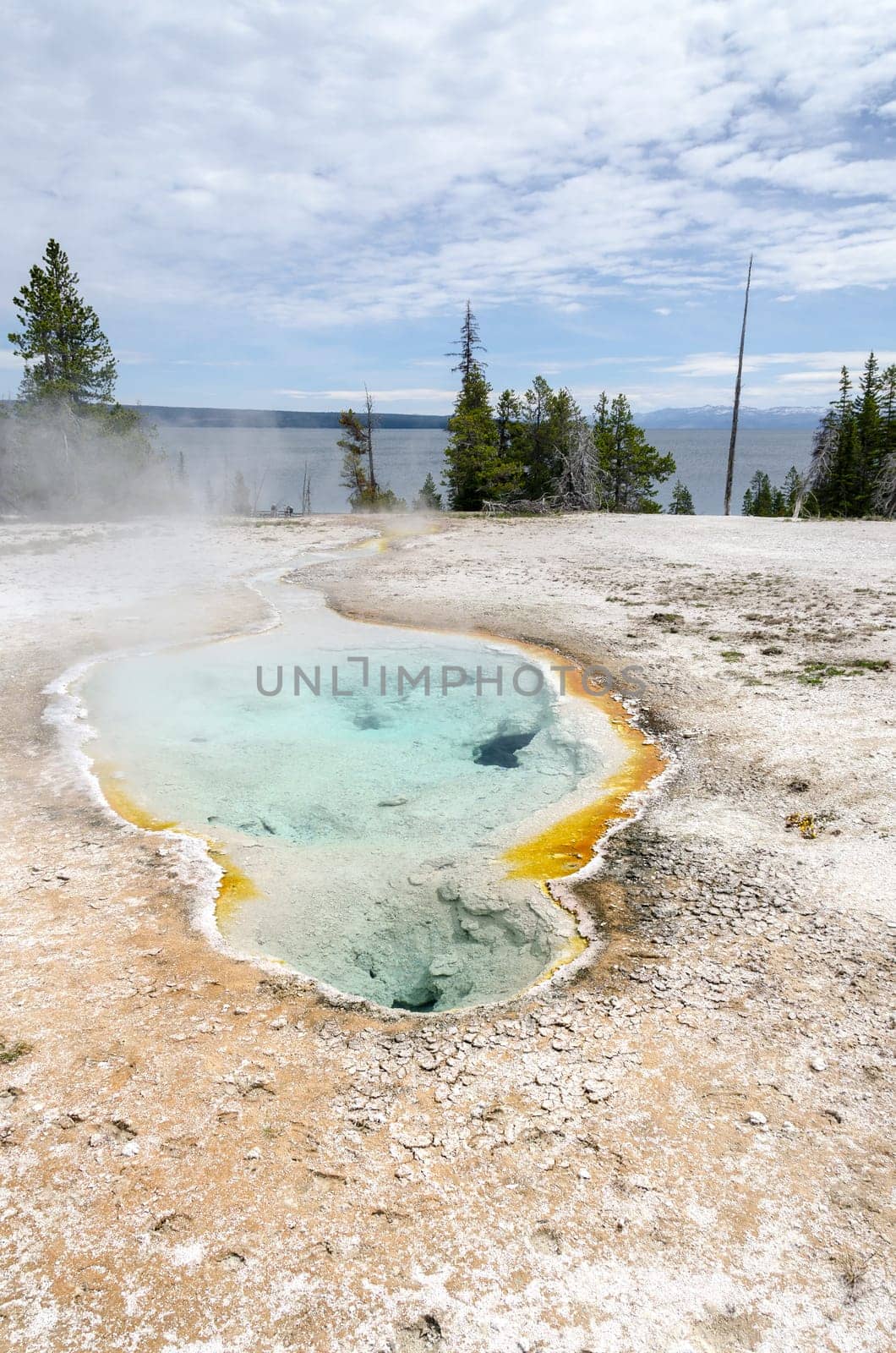 geyser basin in Yellowstone National Park in Wyoming