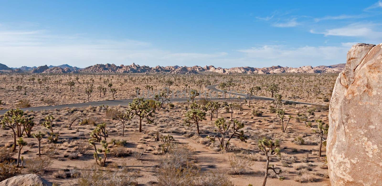 Joshua Tree National Park