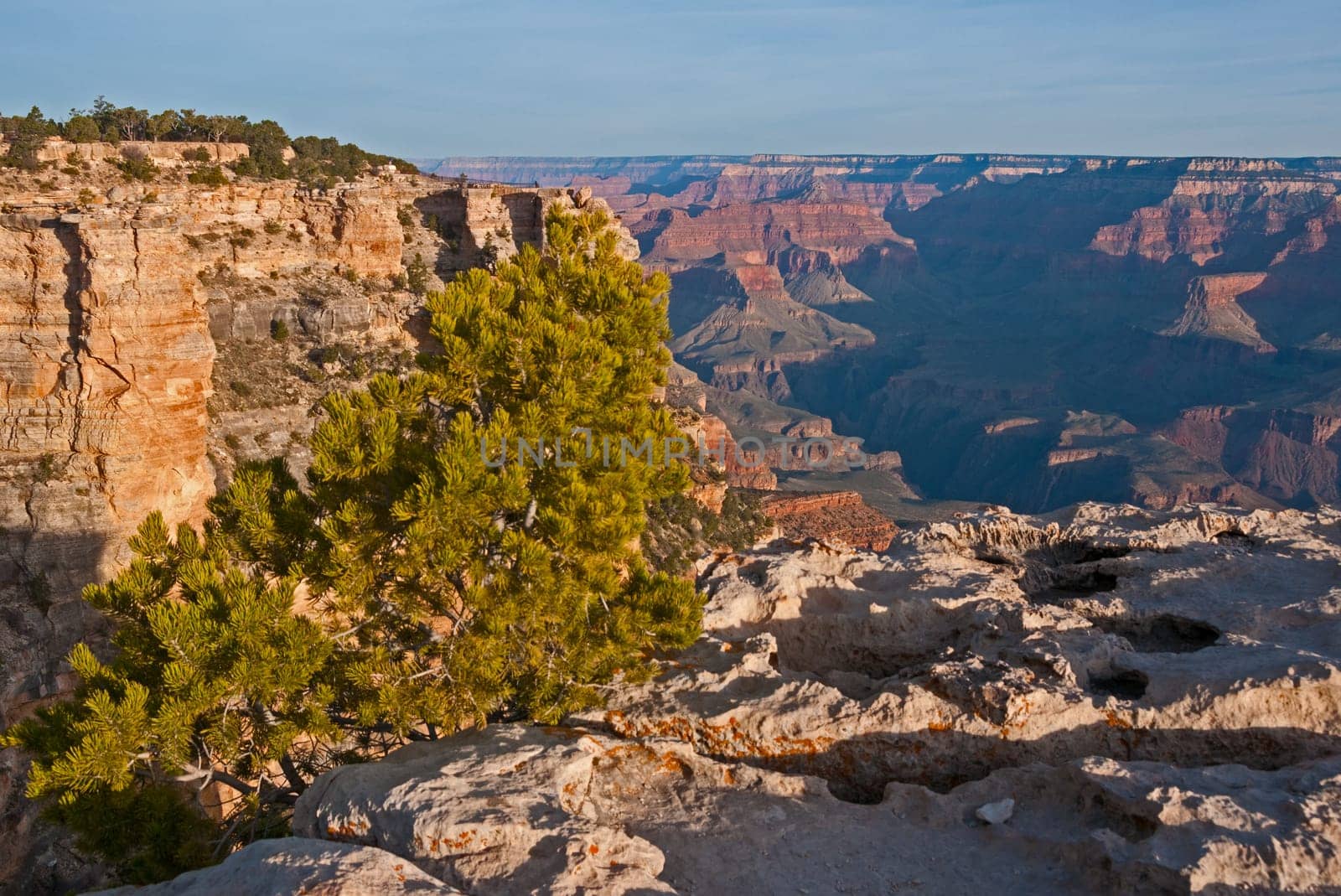 Grand Canyon in the evening light
