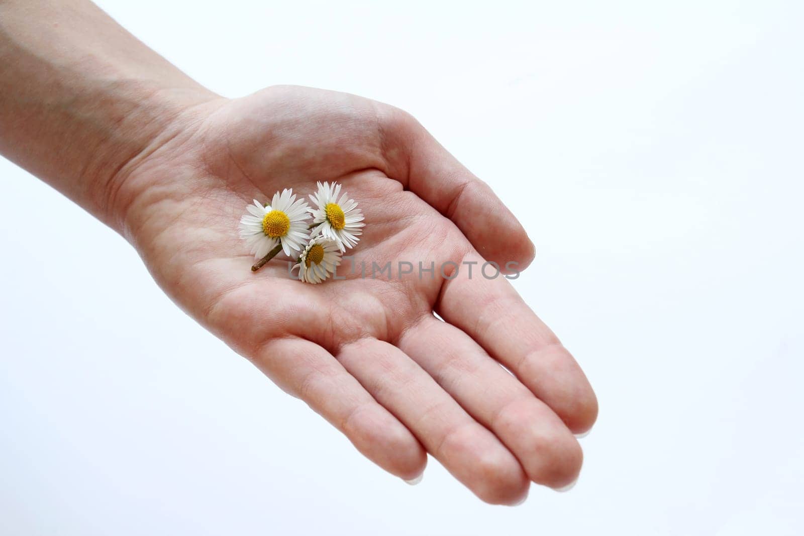 Give the gift of spring