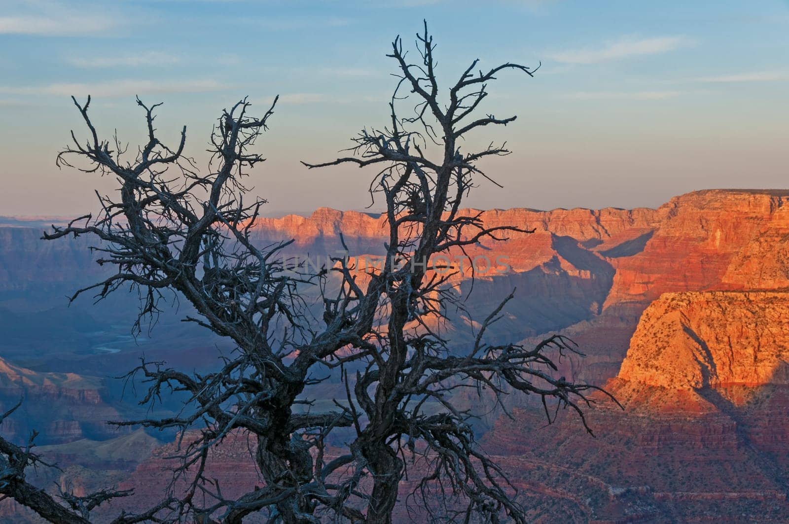 Grand Canyon in the evening light