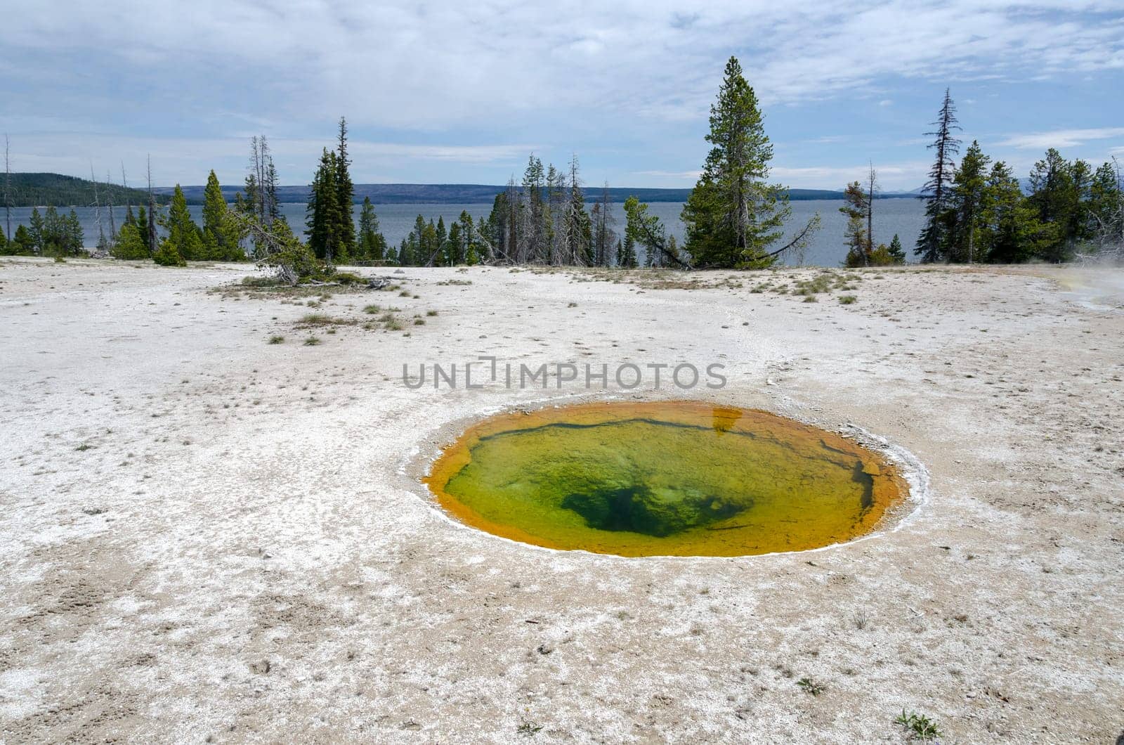 Geyser Basin in Yellowstone National Park in Wyoming