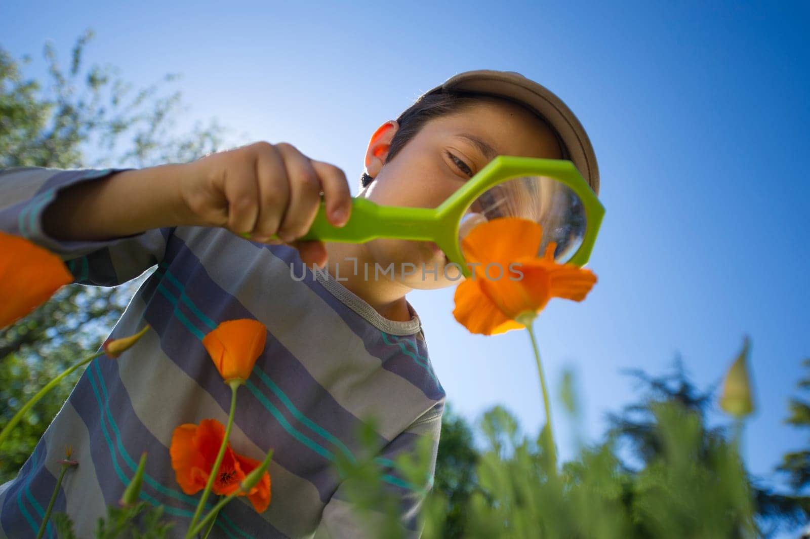 Enfant observant la nature avec une loupe