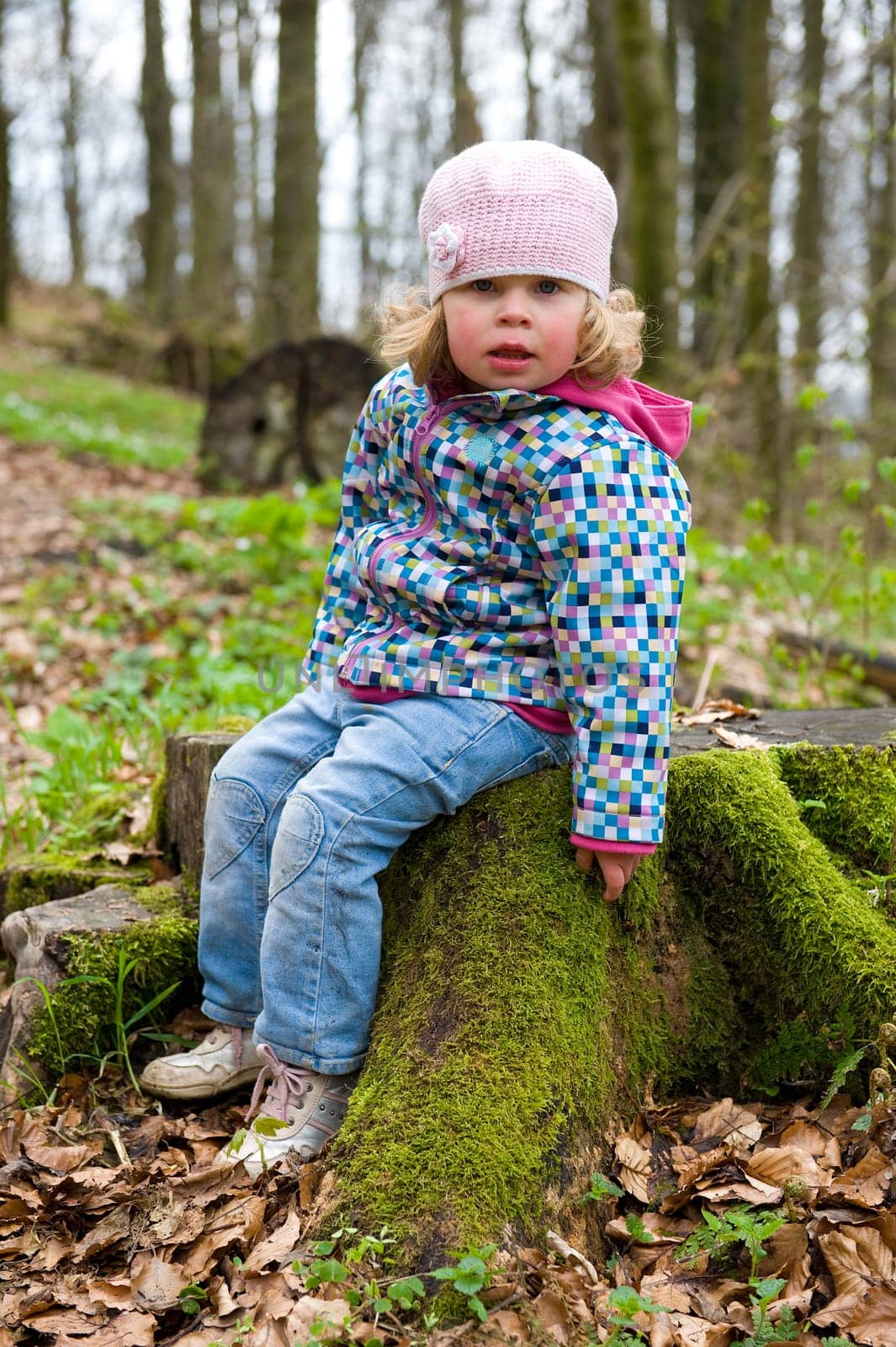Little girl is sitting on a stump