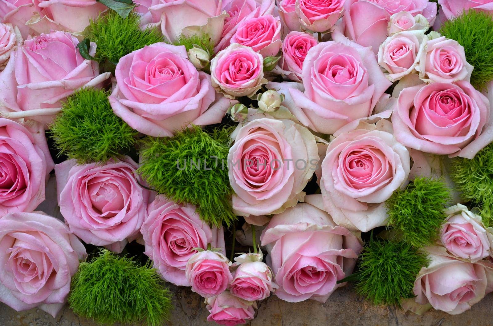 rose bouquet of roses