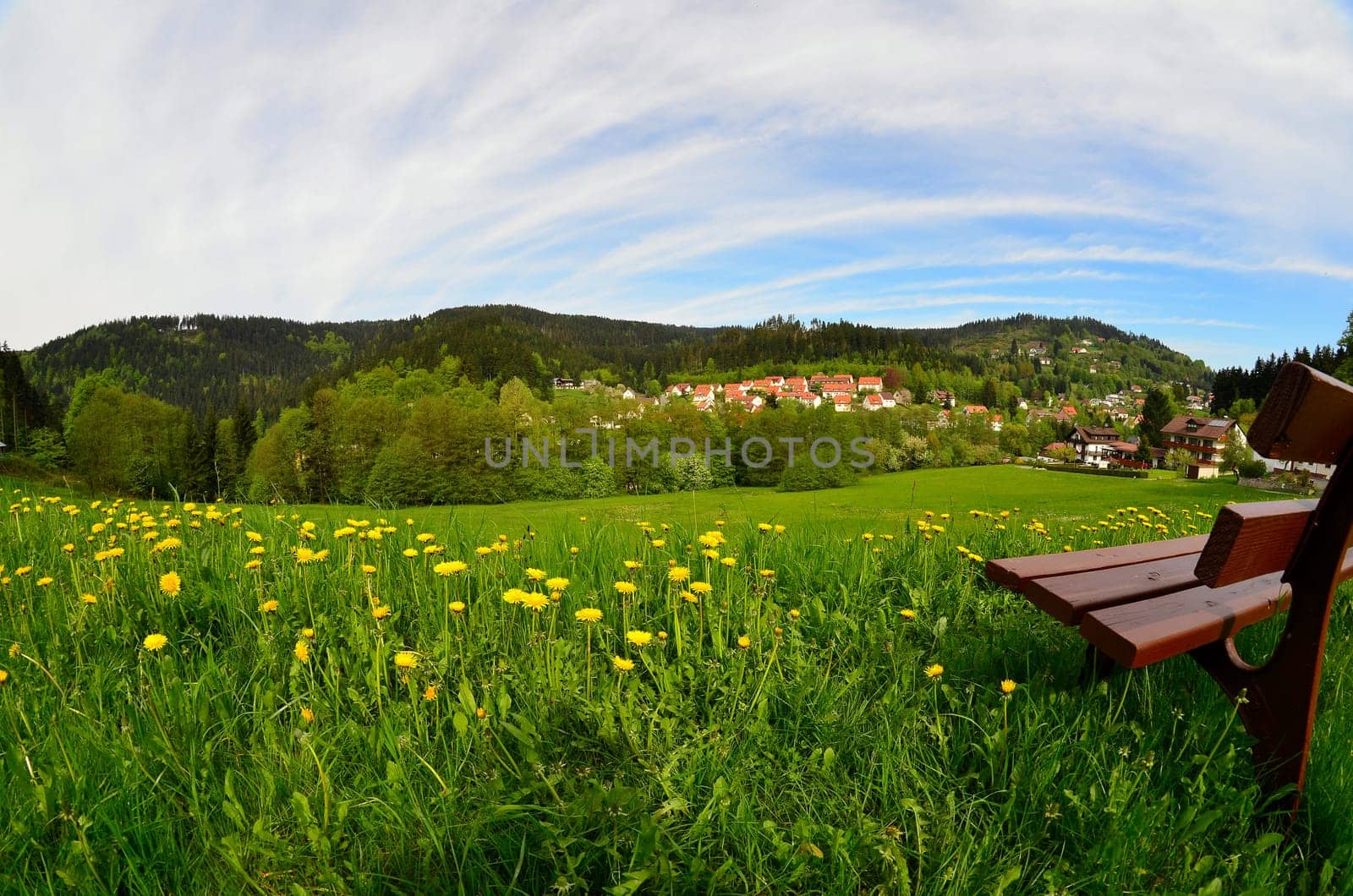 Landscape in spring