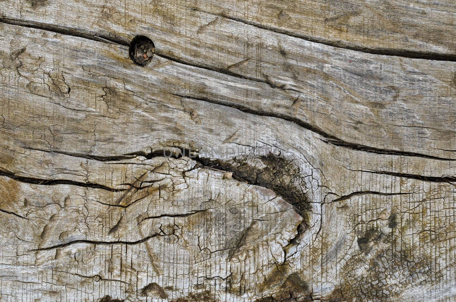 brown wood background old board