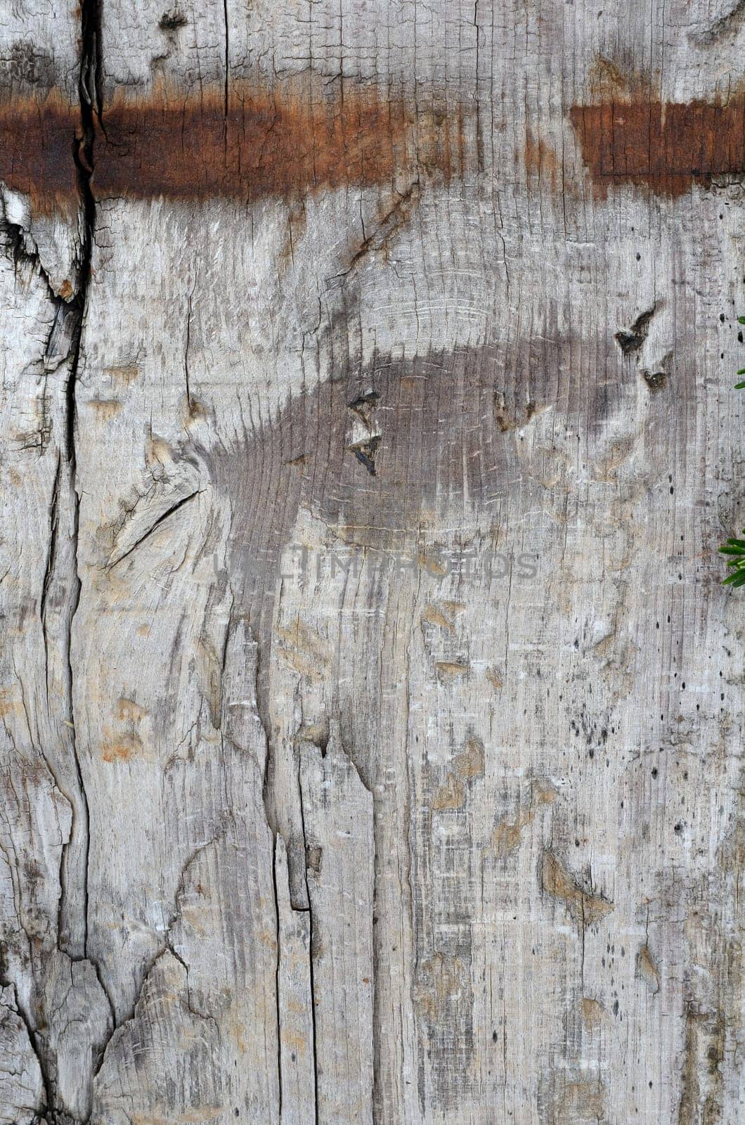 brown wood background old board