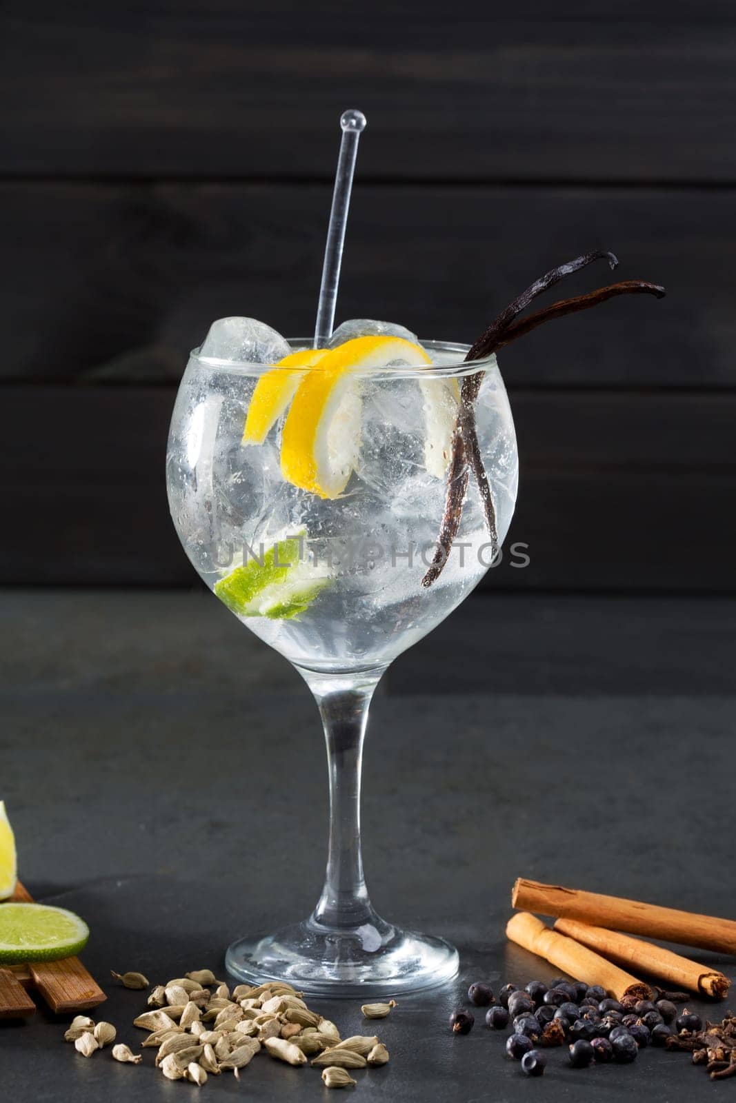 Gin tonic cocktail with lima cucumber vanilla cloves cardamom cinnamon and juniper berries