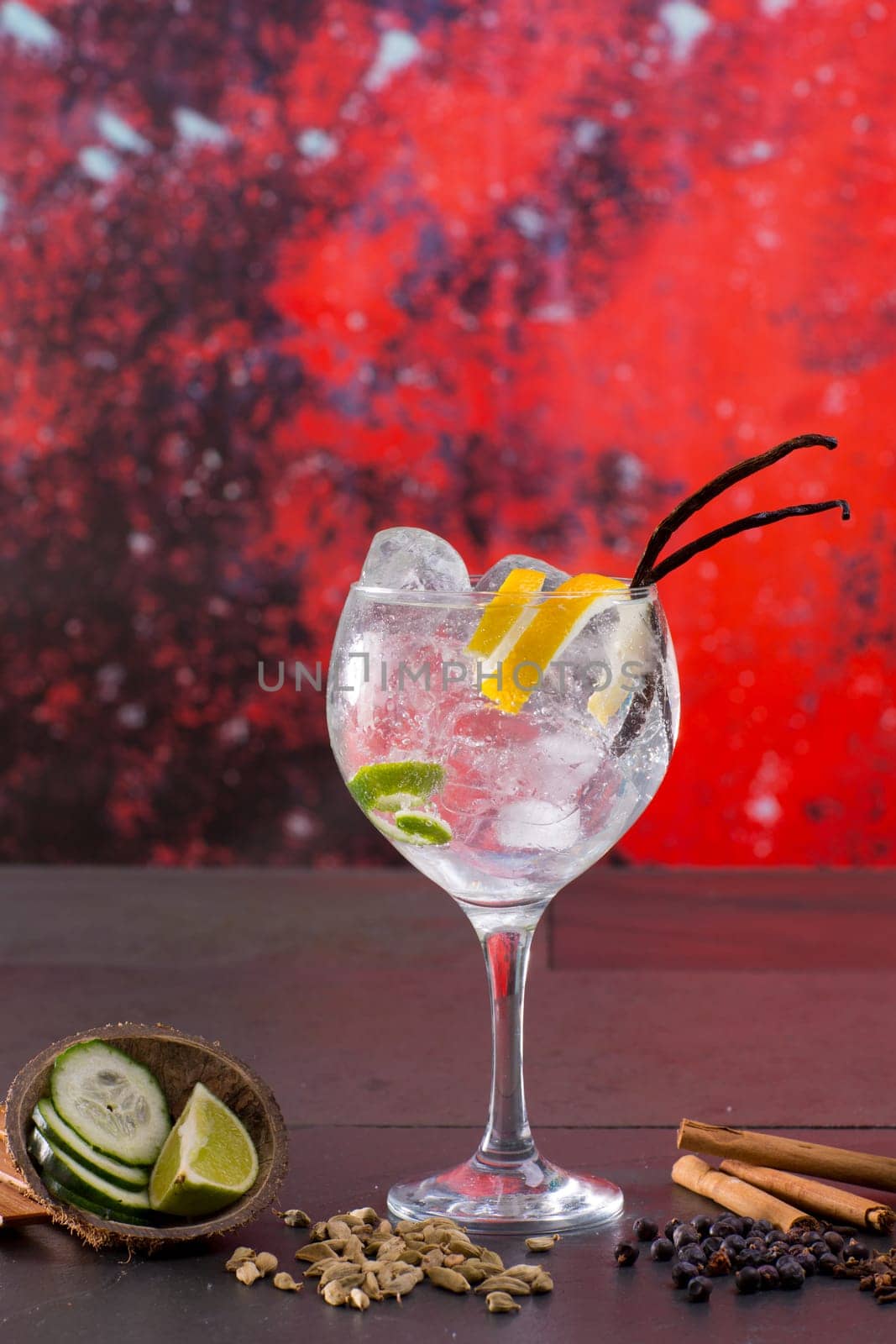 Gin tonic cocktail with spices lima cucumber vanilla cloves cardamom cinnamon and juniper berries in red
