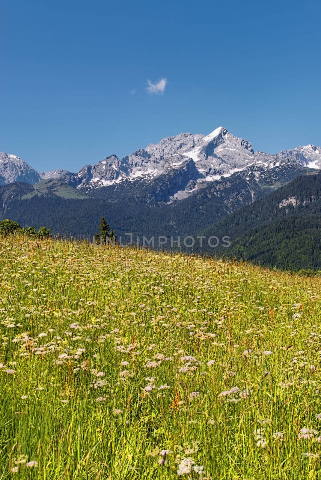 Eckbauer,Garmisch-Partenkirchen,Bavaria,Germany