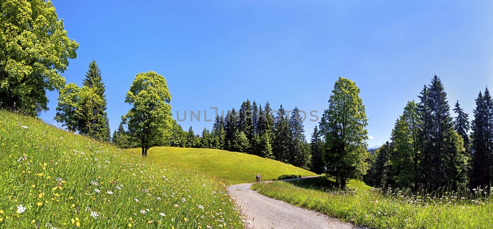 Eckbauer,Garmisch-Partenkirchen,Bavaria,Germany