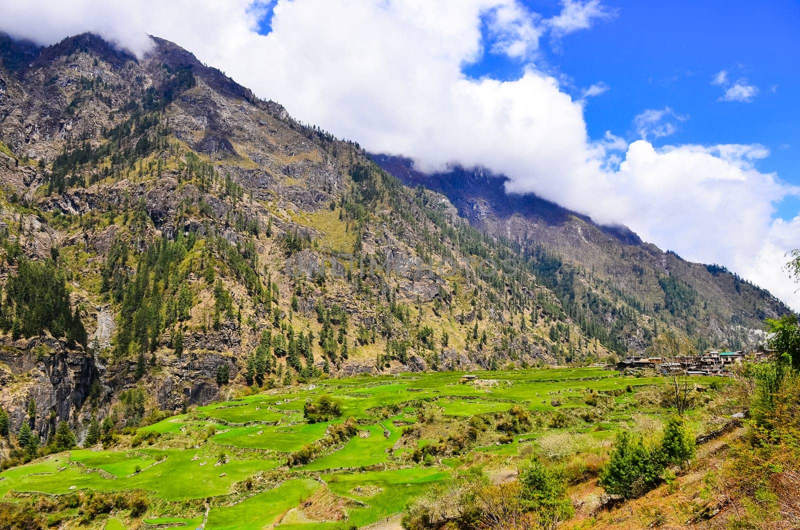 Mountain barley and rice fileds and rural village, Annapurna area, Nepal