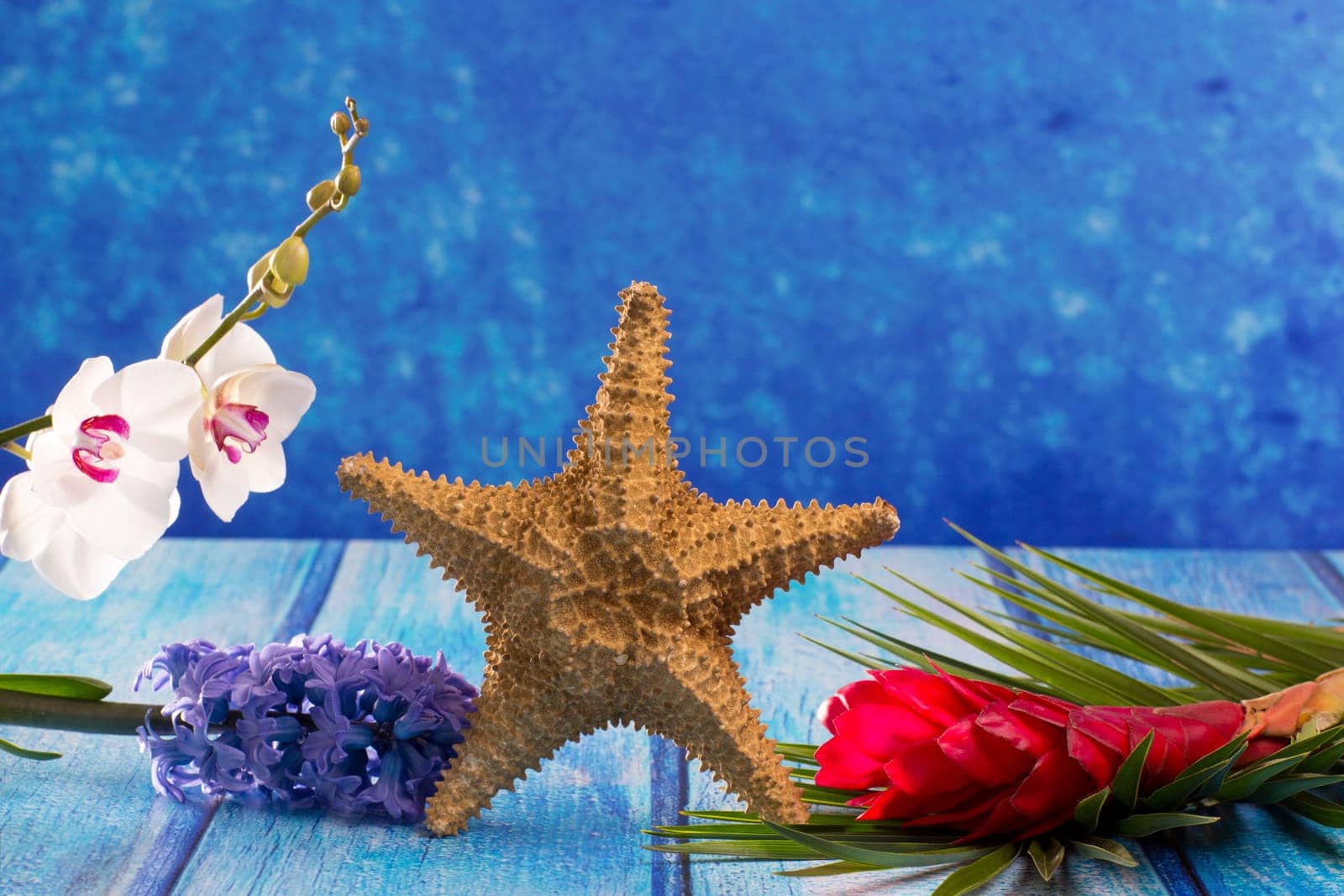 starfish with hyacinth flower and white orchid on blue wood  background