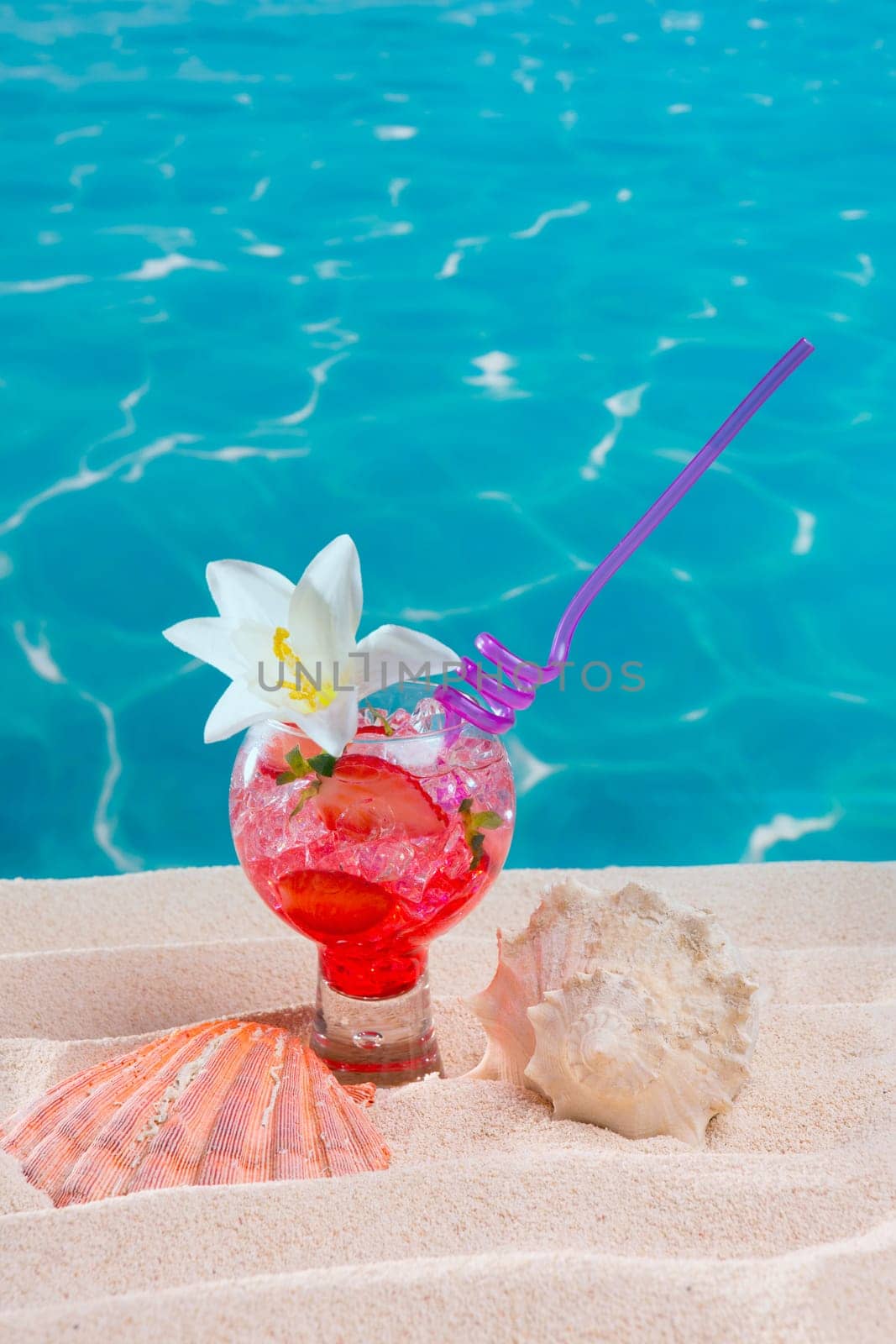 Beach tropical red cocktail on caribbean white sand flower and seashell