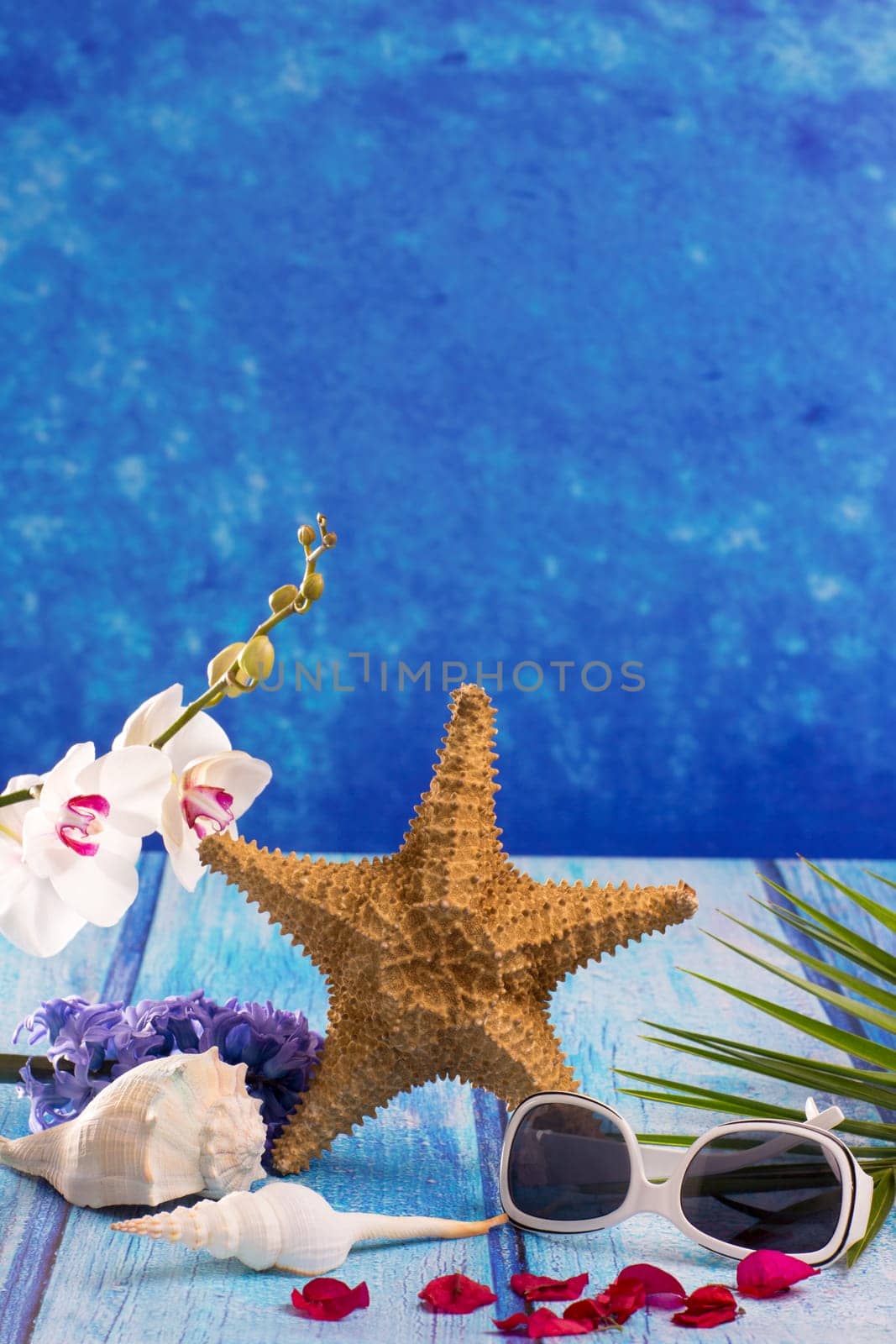 starfish seashells with hyacinth flower and white orchid on blue wood  background