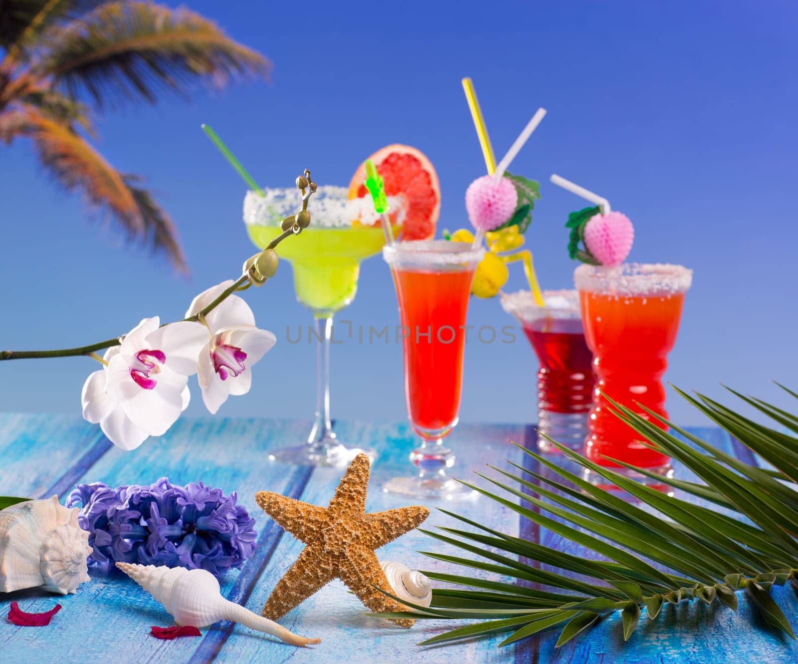 Cocktails margarita sex on the beach colorful tropical palm tree sky with flowers and starfish
