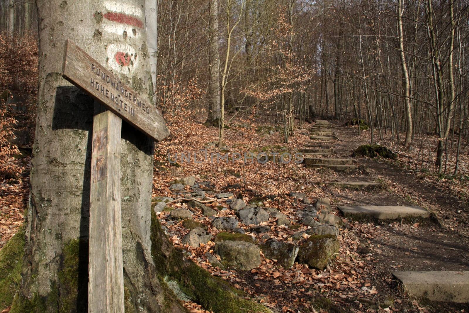 Hiking trail to Hohenstein