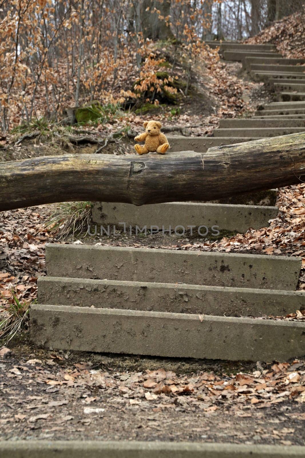 Hiking trail to Hohenstein with teddy bear Krambam