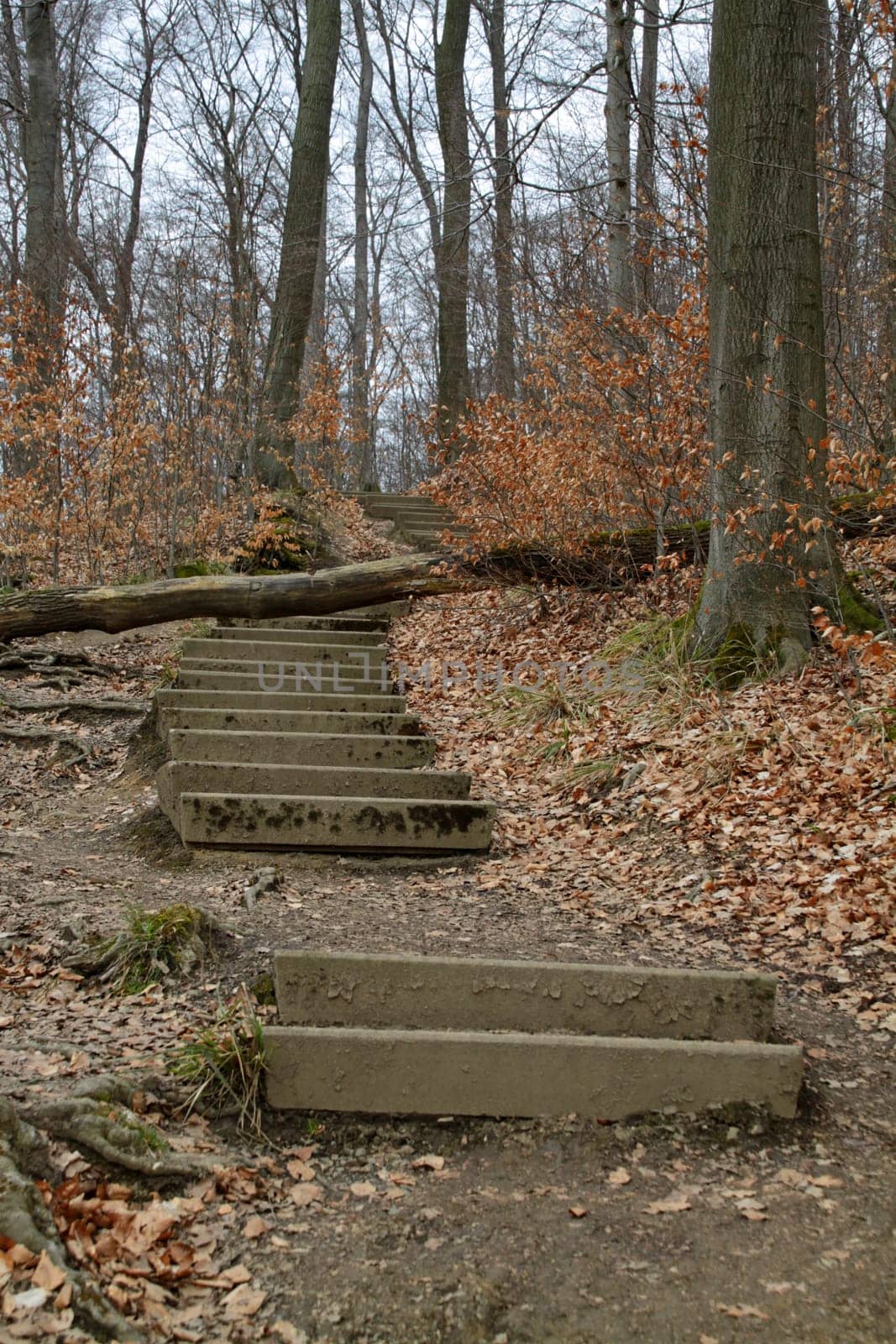 Hiking trail to Hohenstein