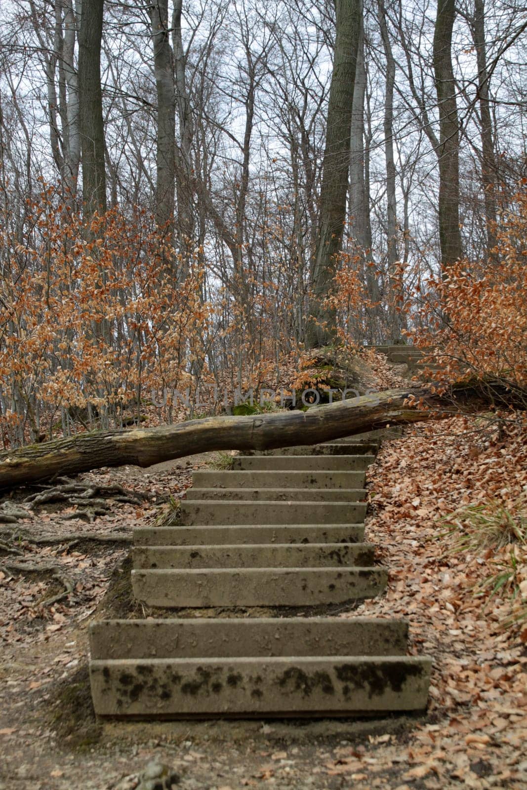 Hiking trail to Hohenstein