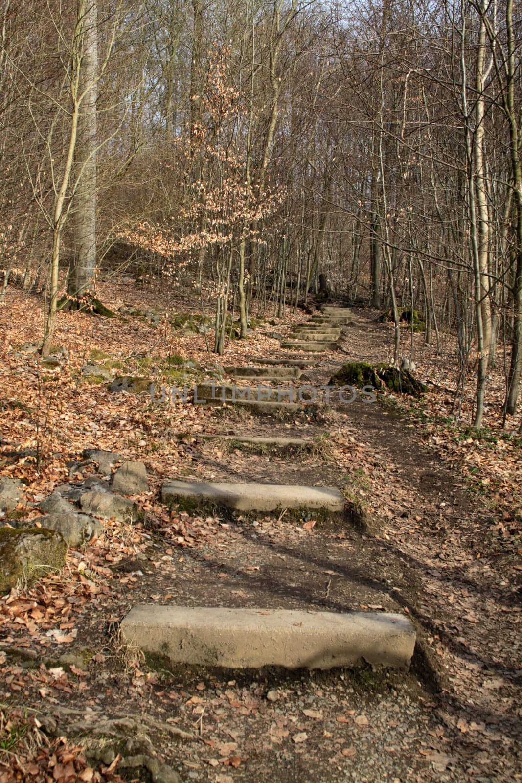 Hiking trail to Hohenstein