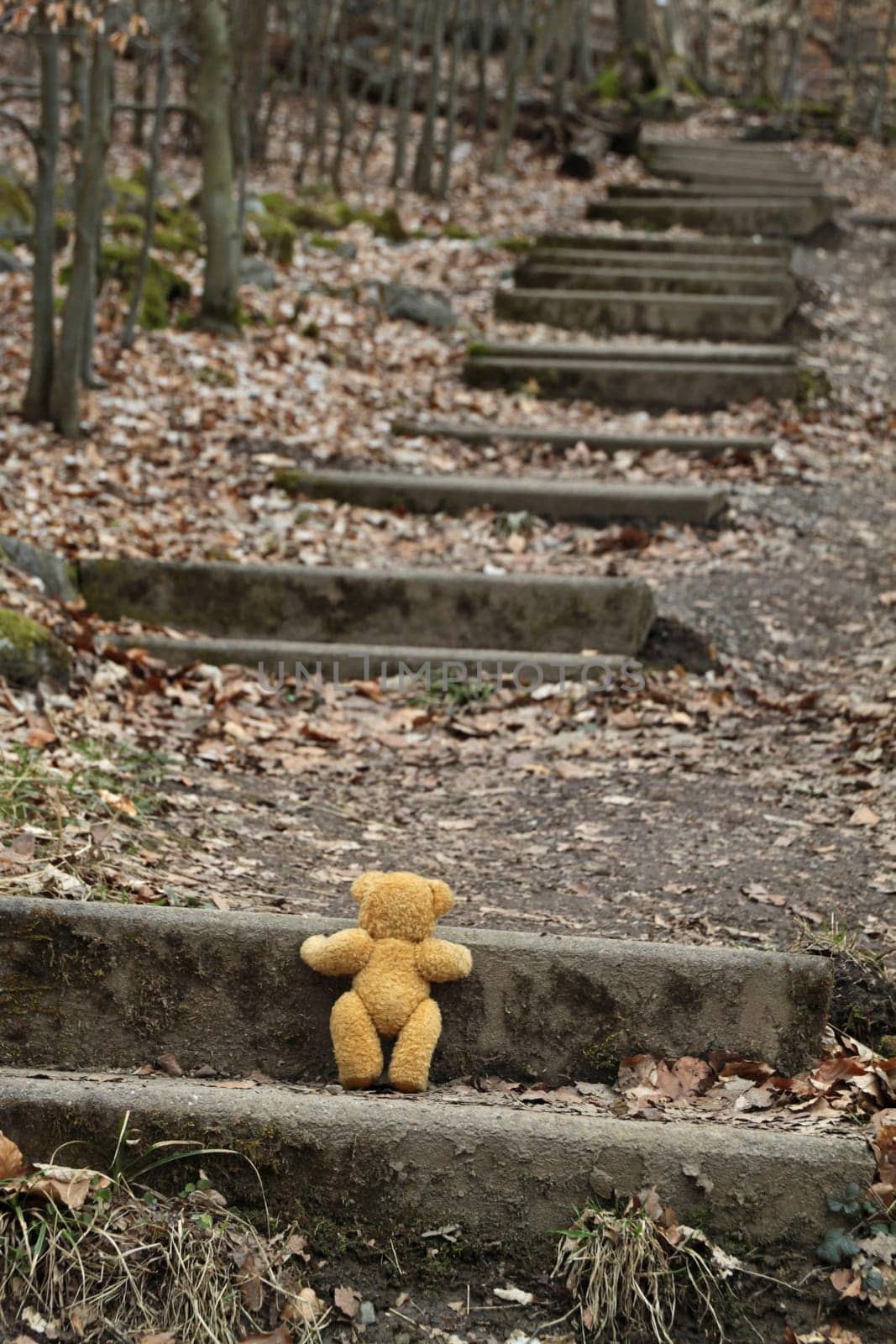 Hiking trail to Hohenstein with teddy bear Krambam