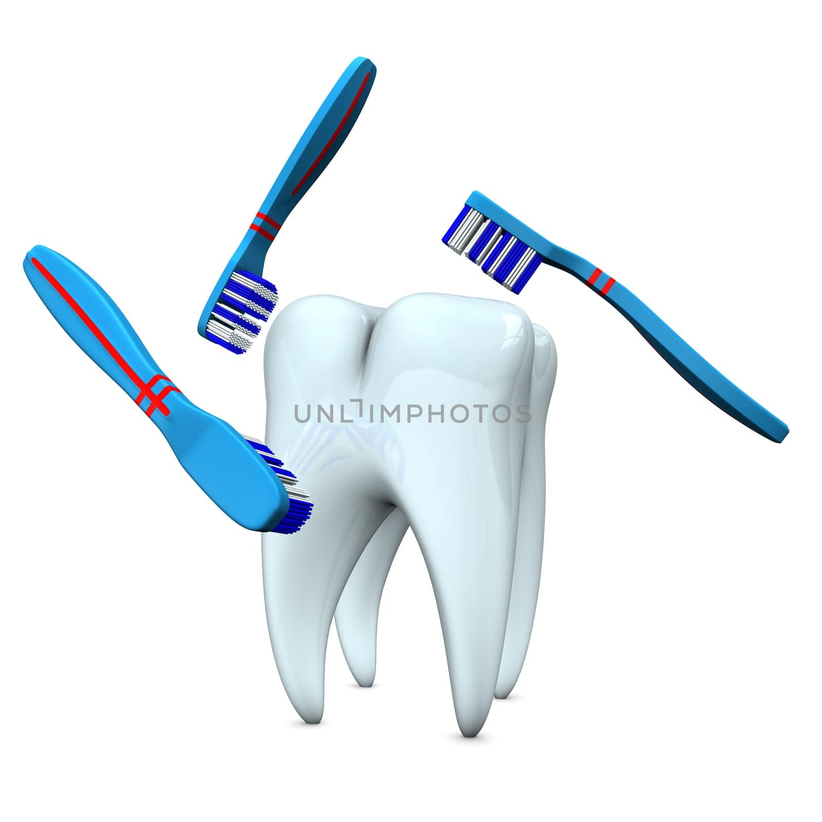 Tooth with toothbrushes on the white background.
