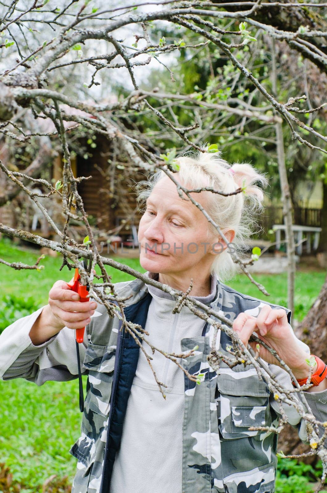Woman cuts a branch at an Apple-tree, a spring in the garden