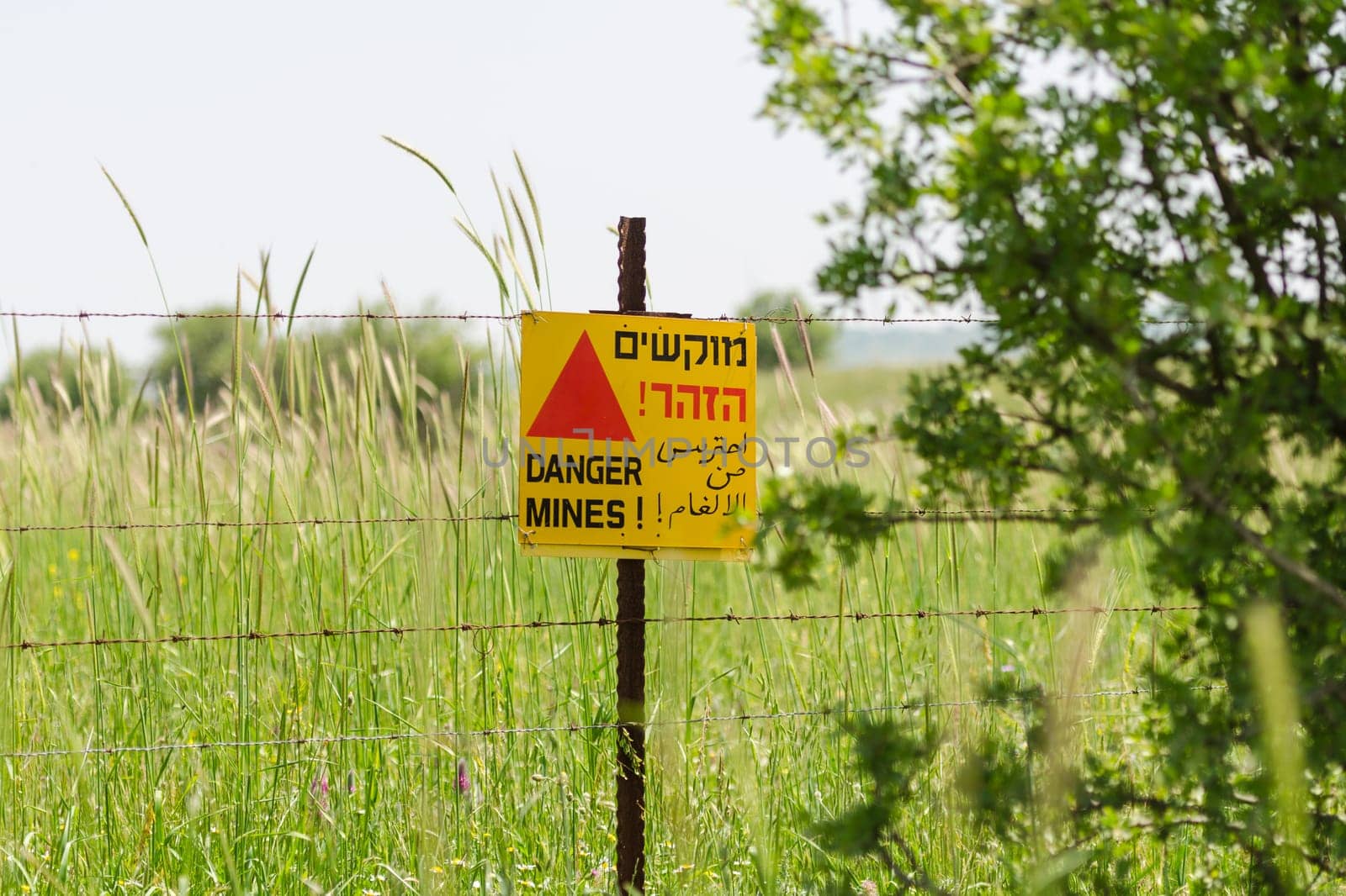 Minefield in the Golan Heights boundary demilitarized zone