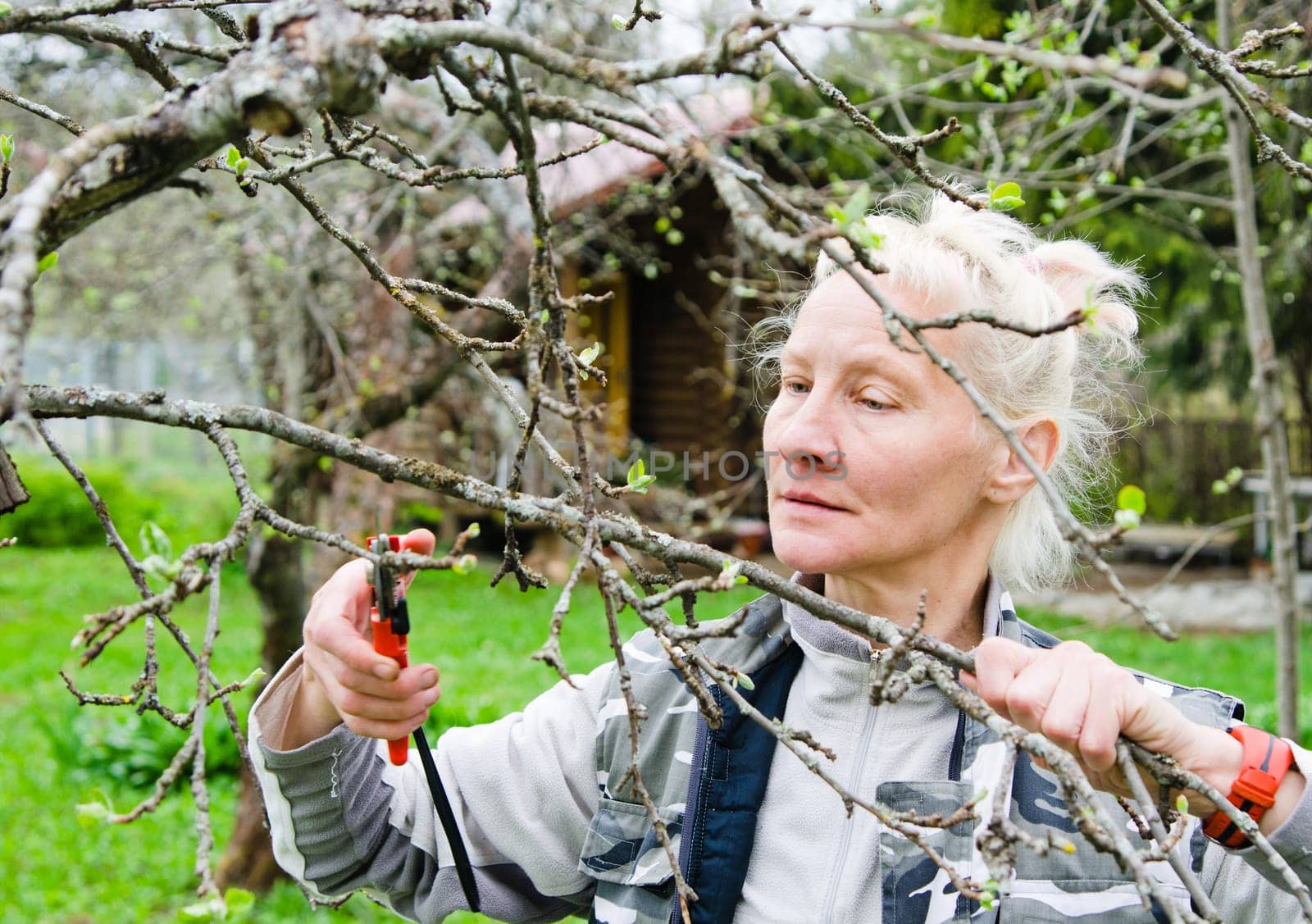 Woman cuts a branch at an Apple-tree, a spring in the garden