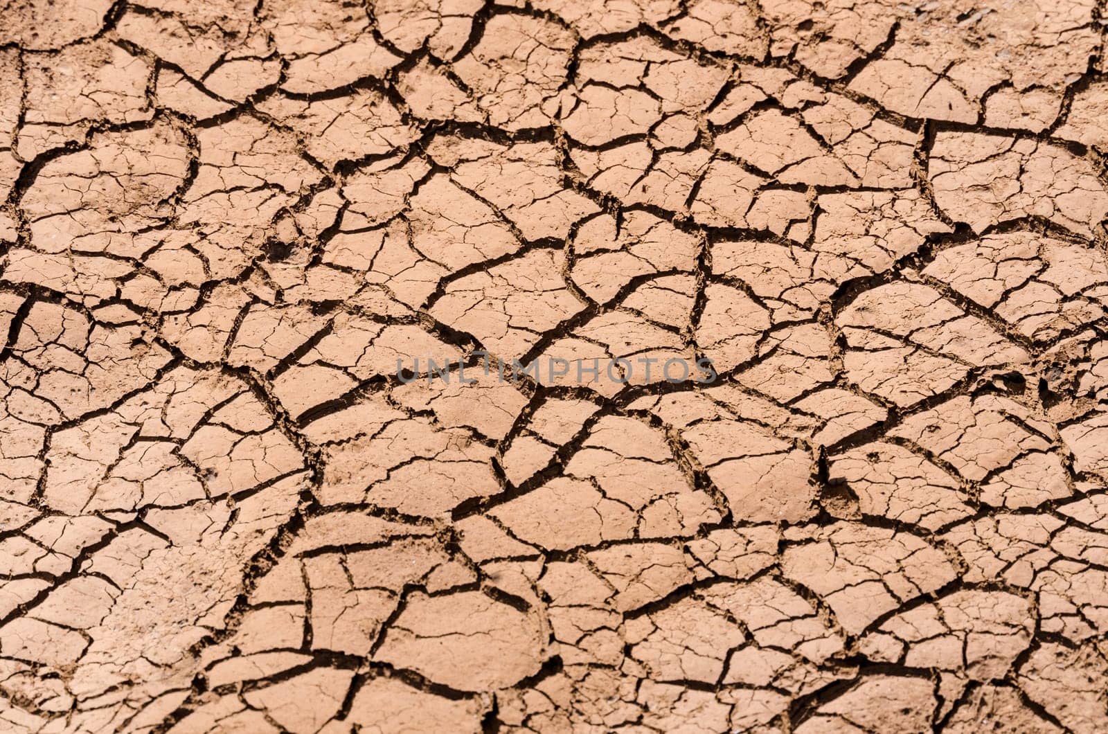 Drought relief with dry cracked ground texture