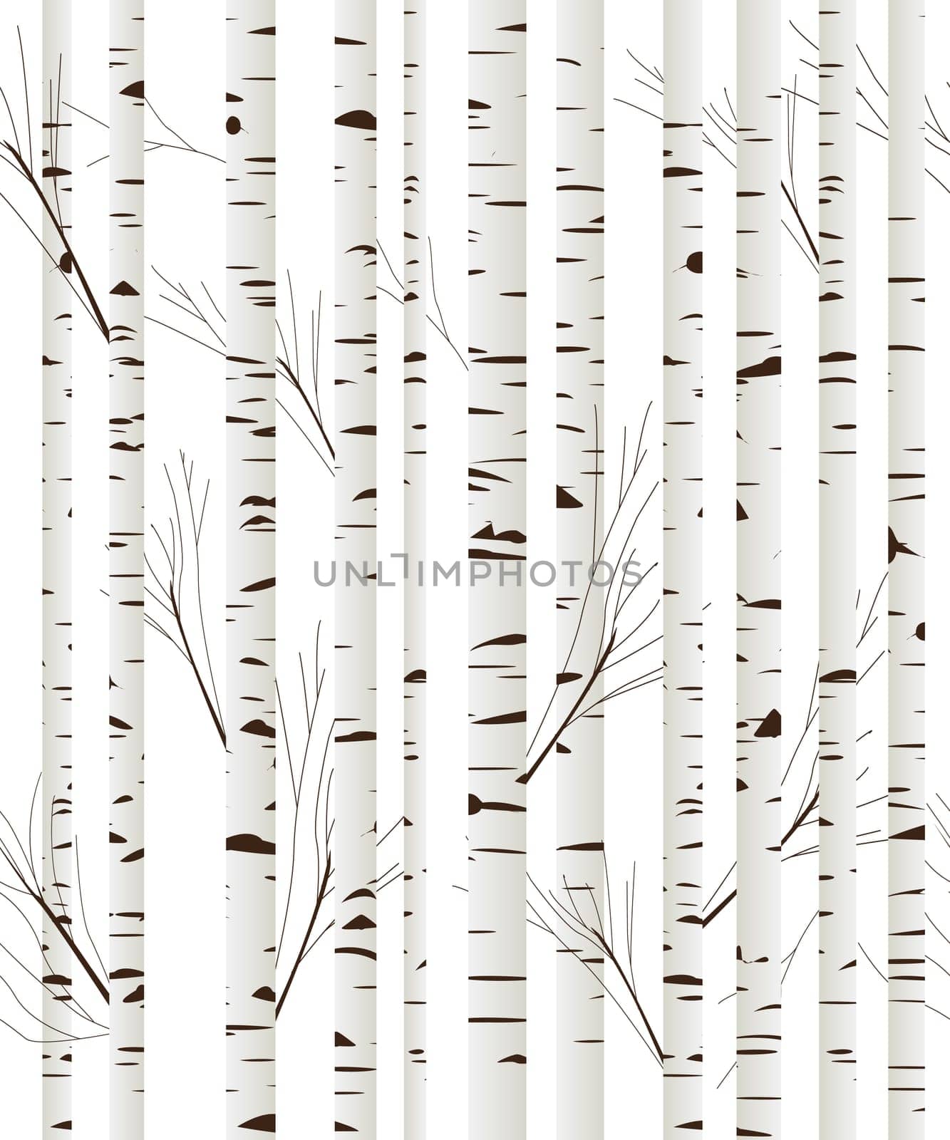 Seamless pattern, background with birch wood trees over white background